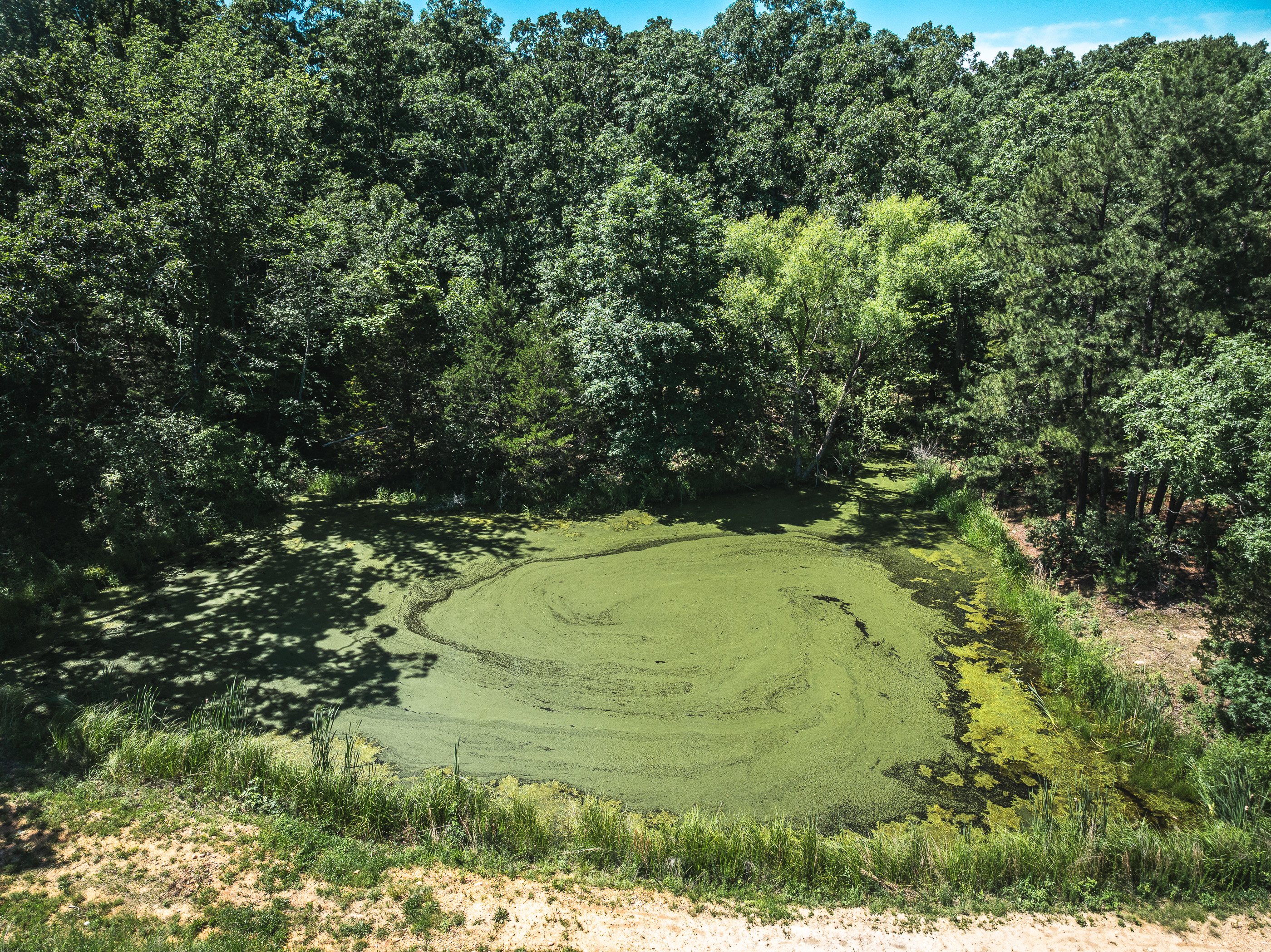 Cherryville 10