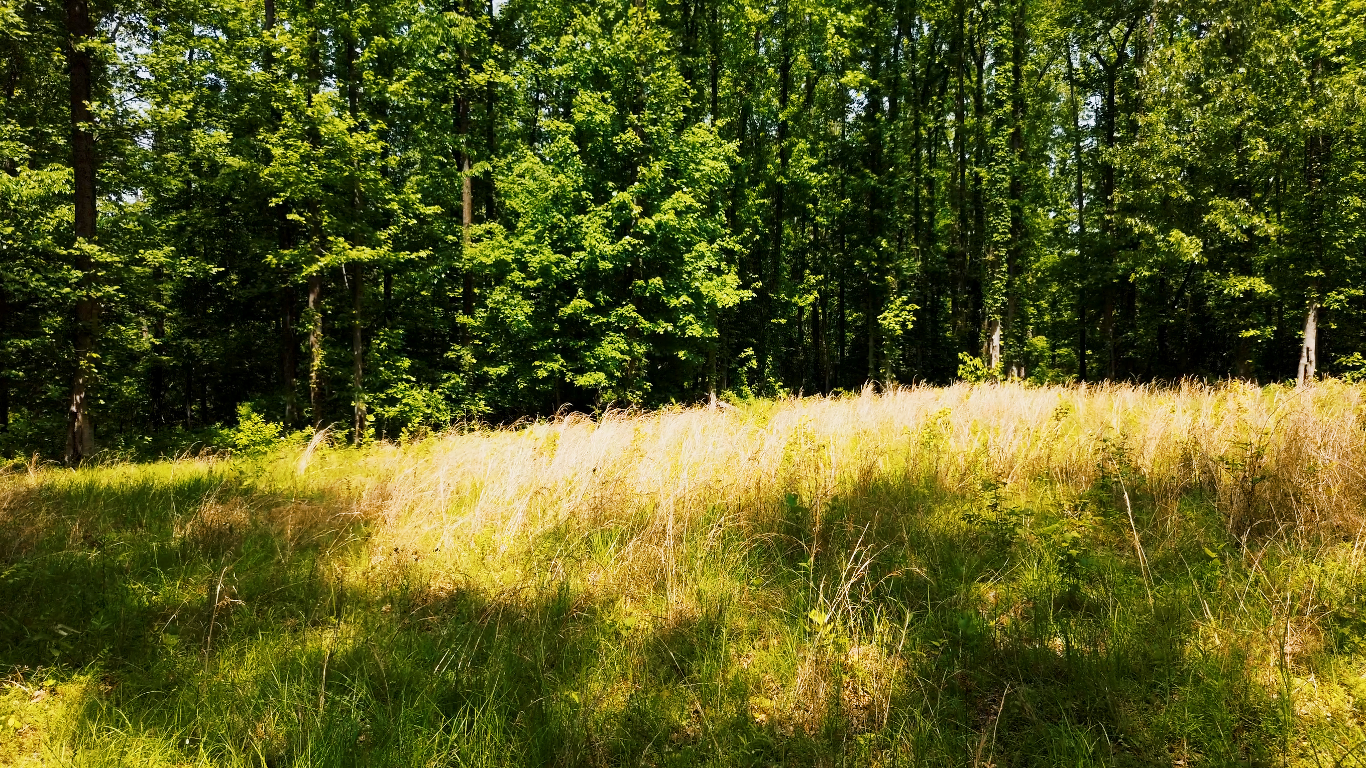 Villa Ridge 95