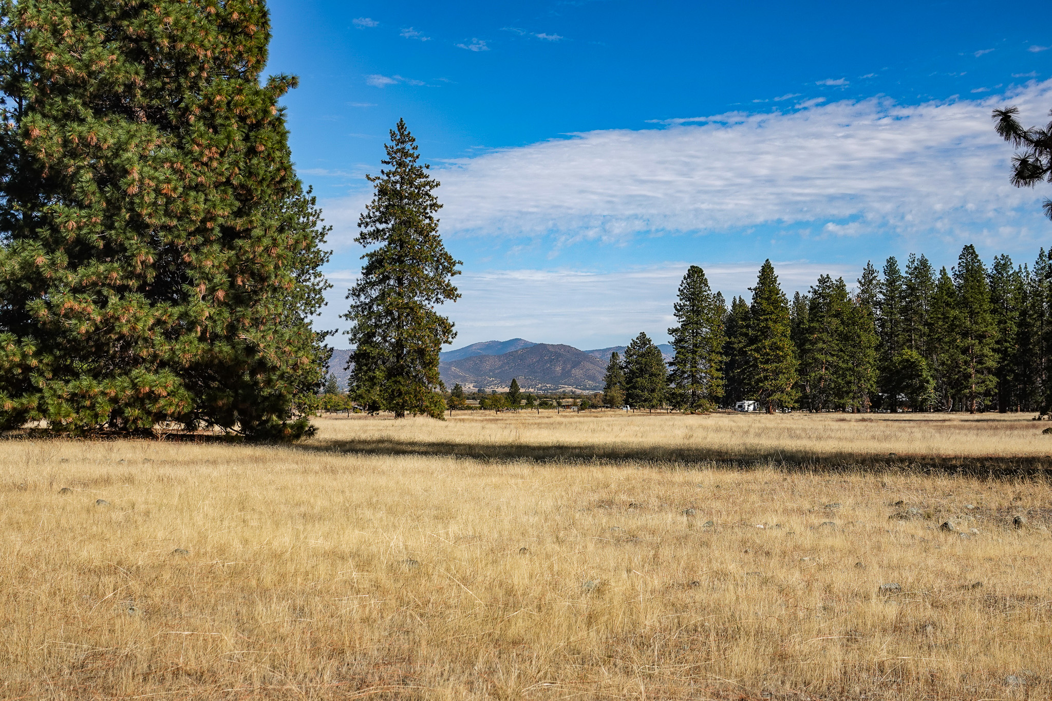 Mountain View Meadow