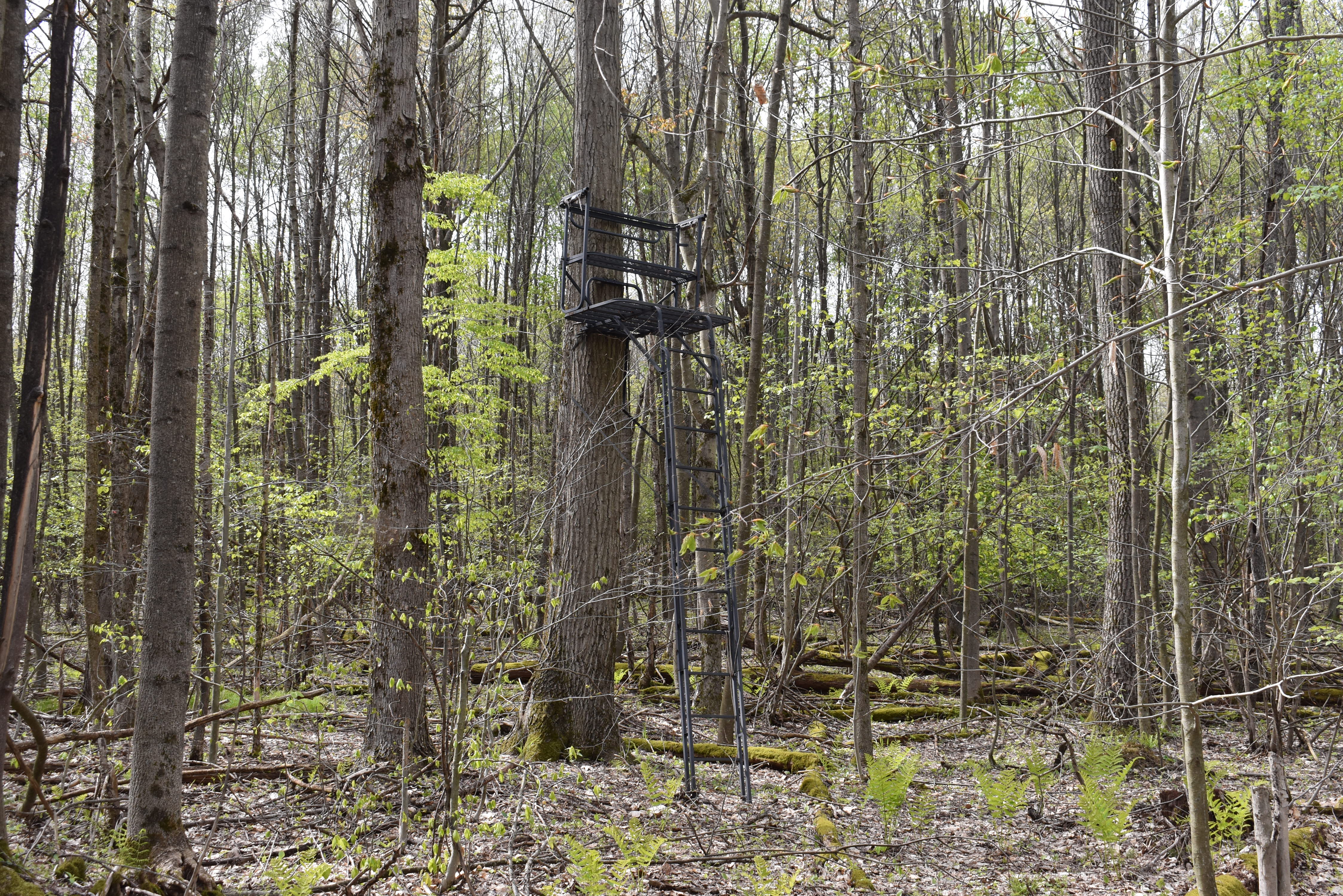 Listing Image 5