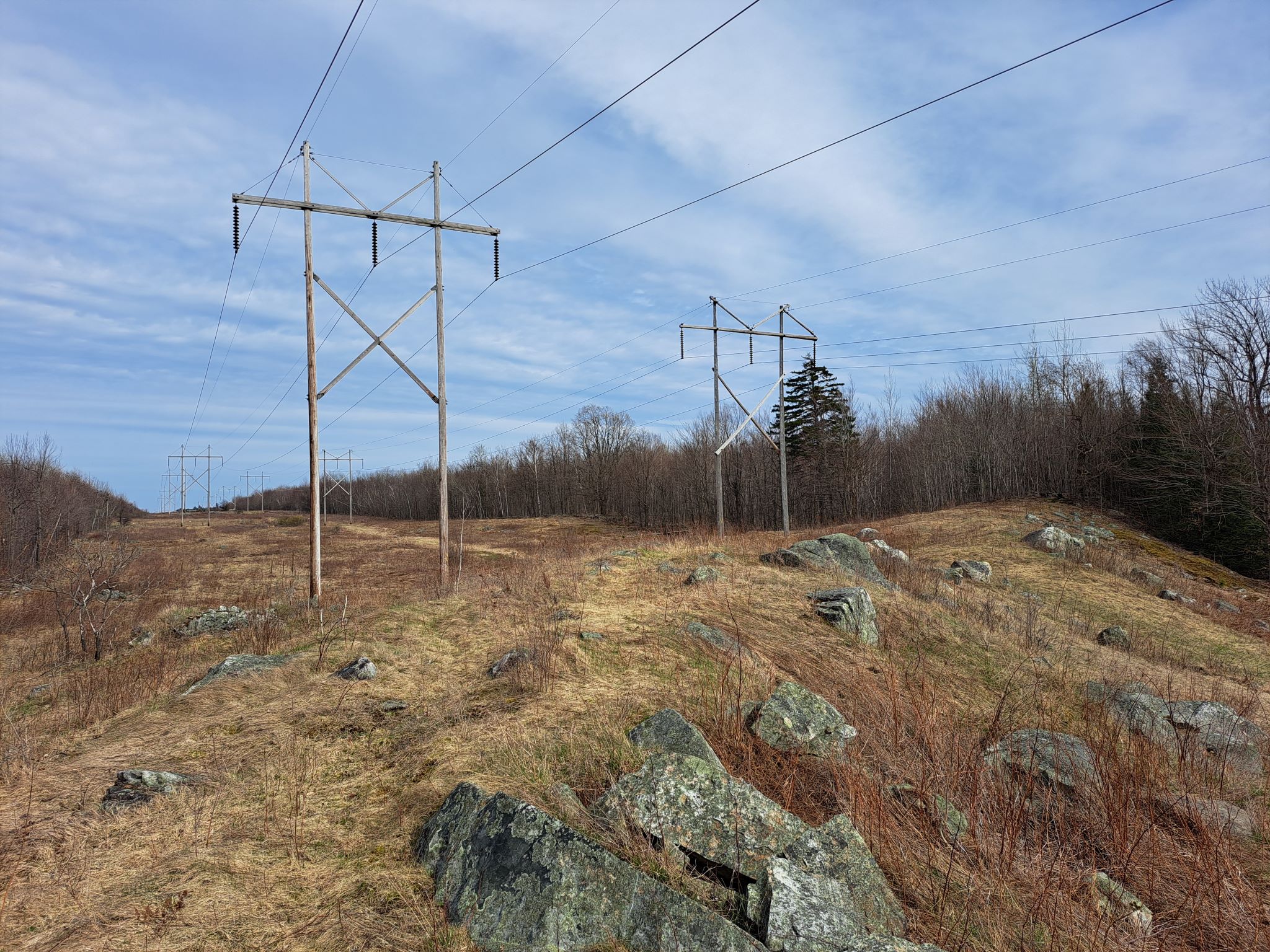 Listing Image 49