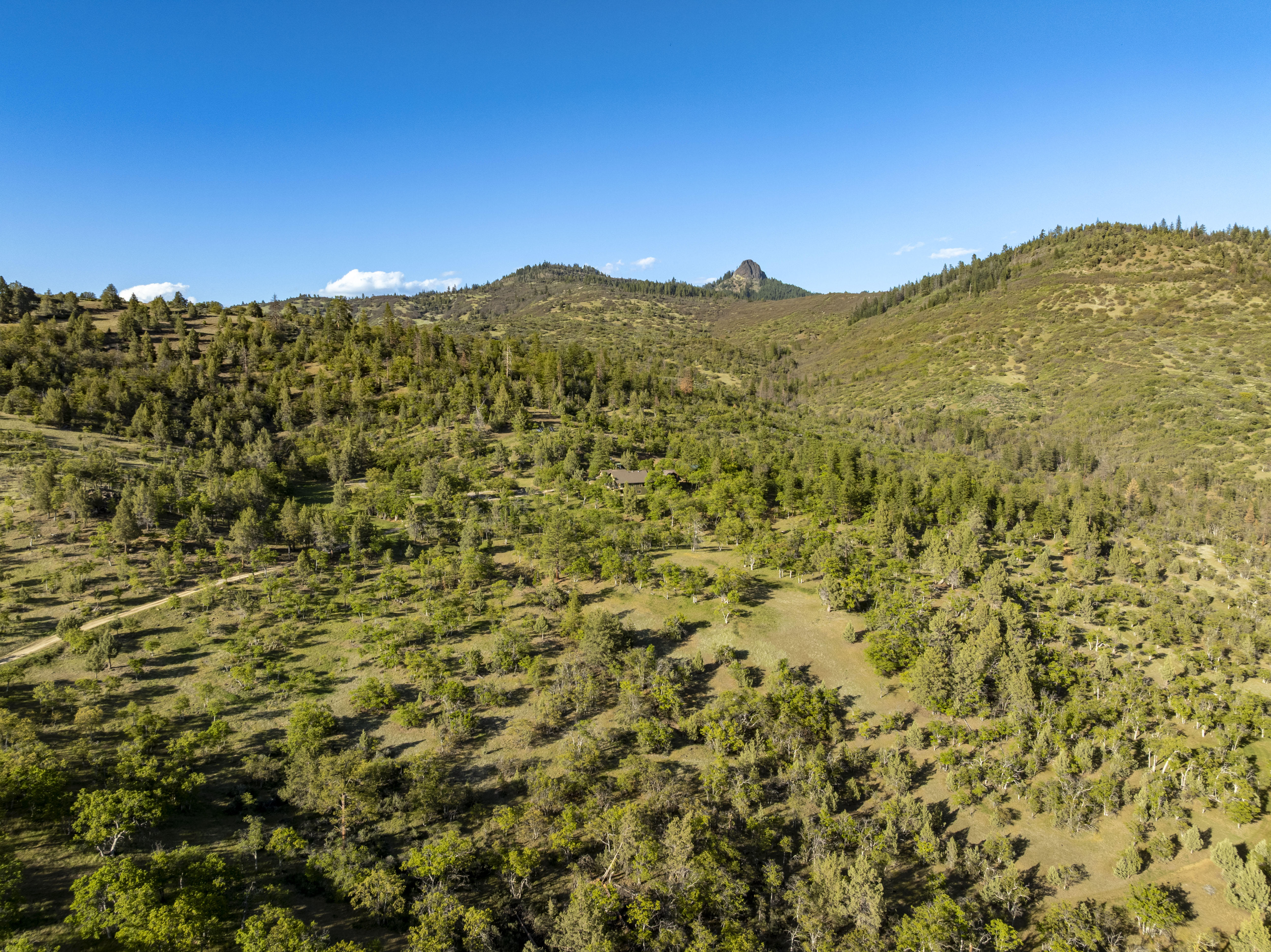 Listing Image 58