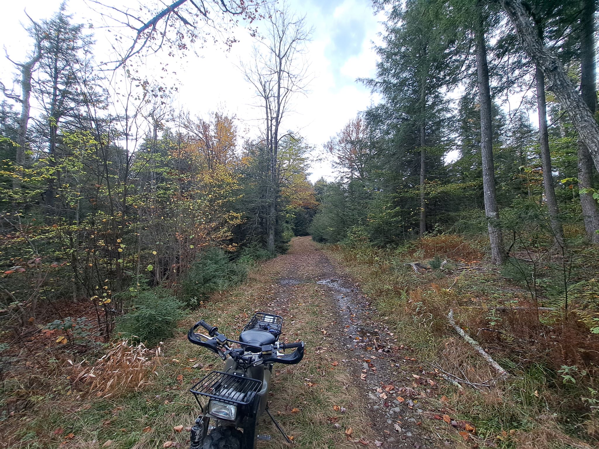 Hudson River Woods & Water