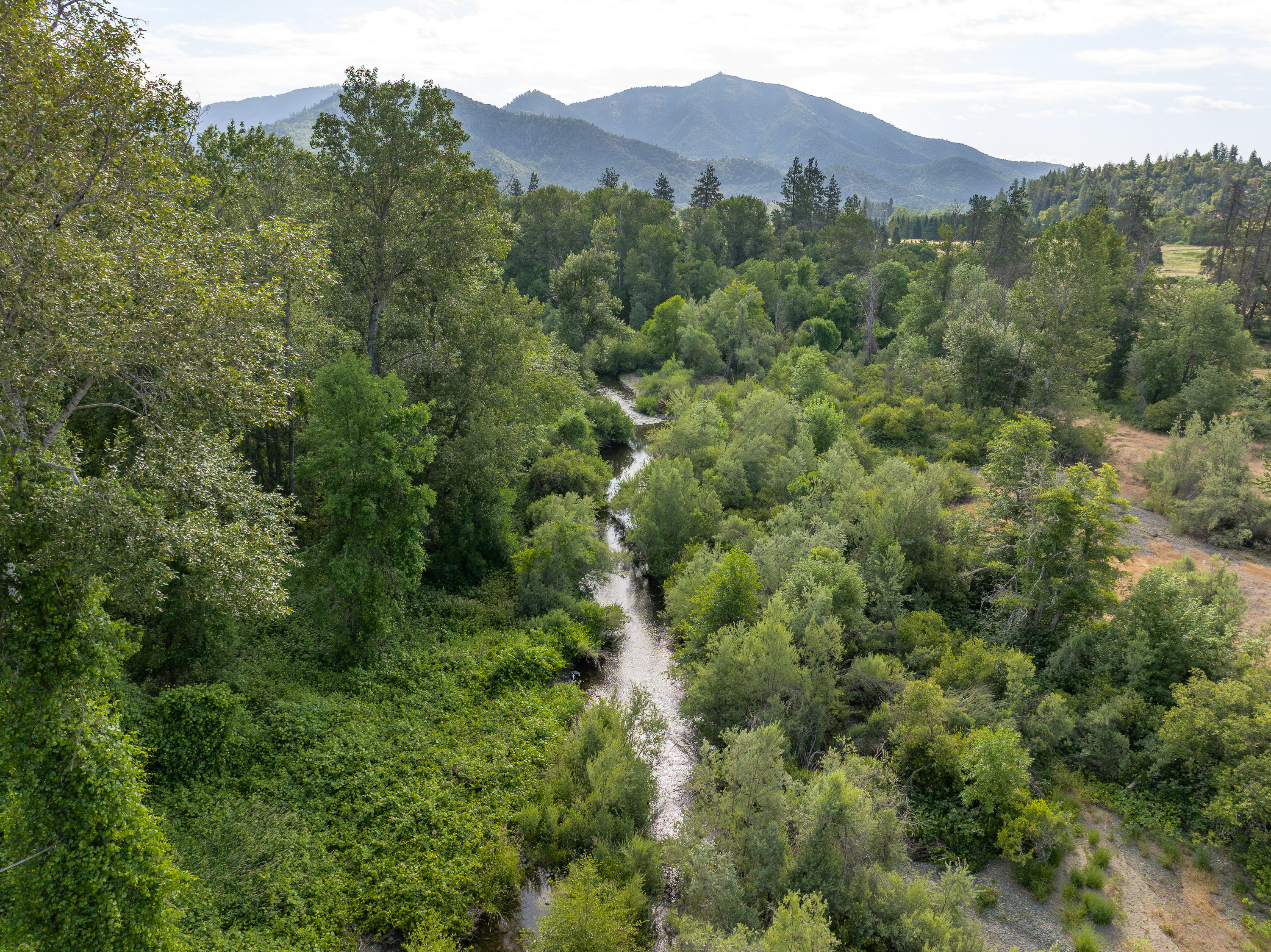 701 Messinger Road - Benton Family Ranch - 112 Acres along Williams Creek