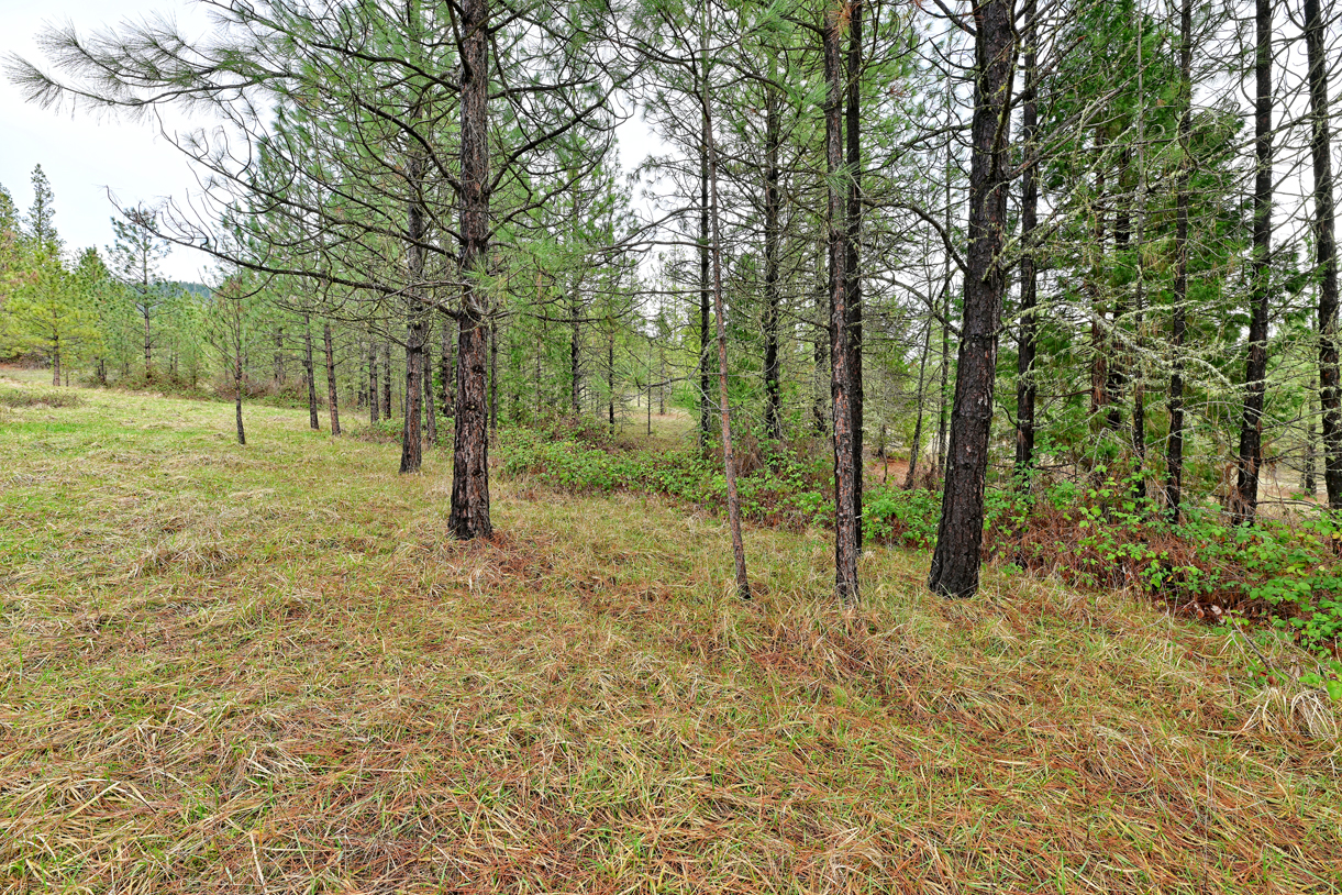 Listing Image 26