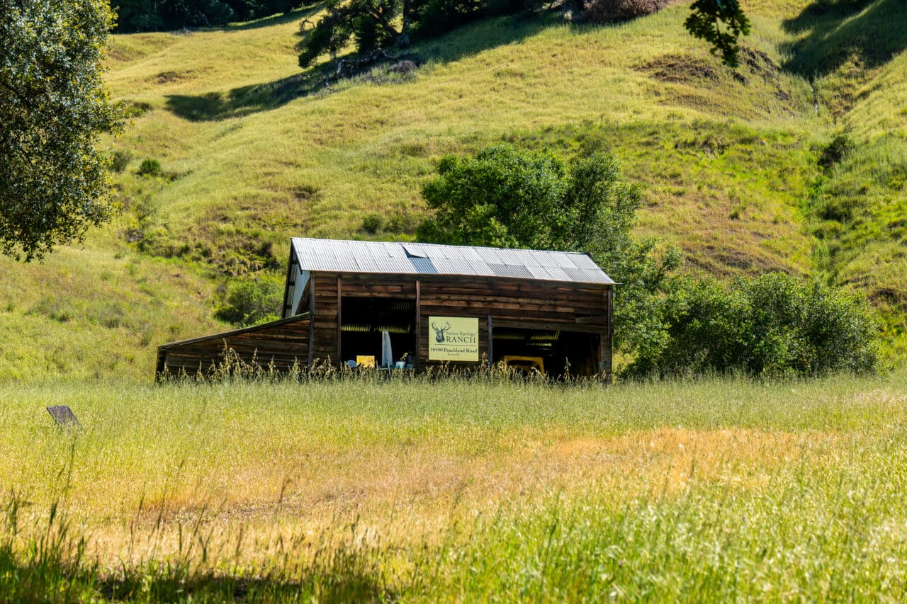 Listing Image 16