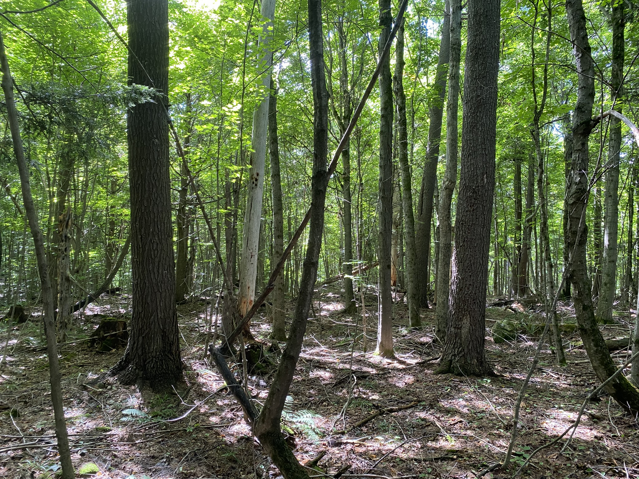 Listing Image 32