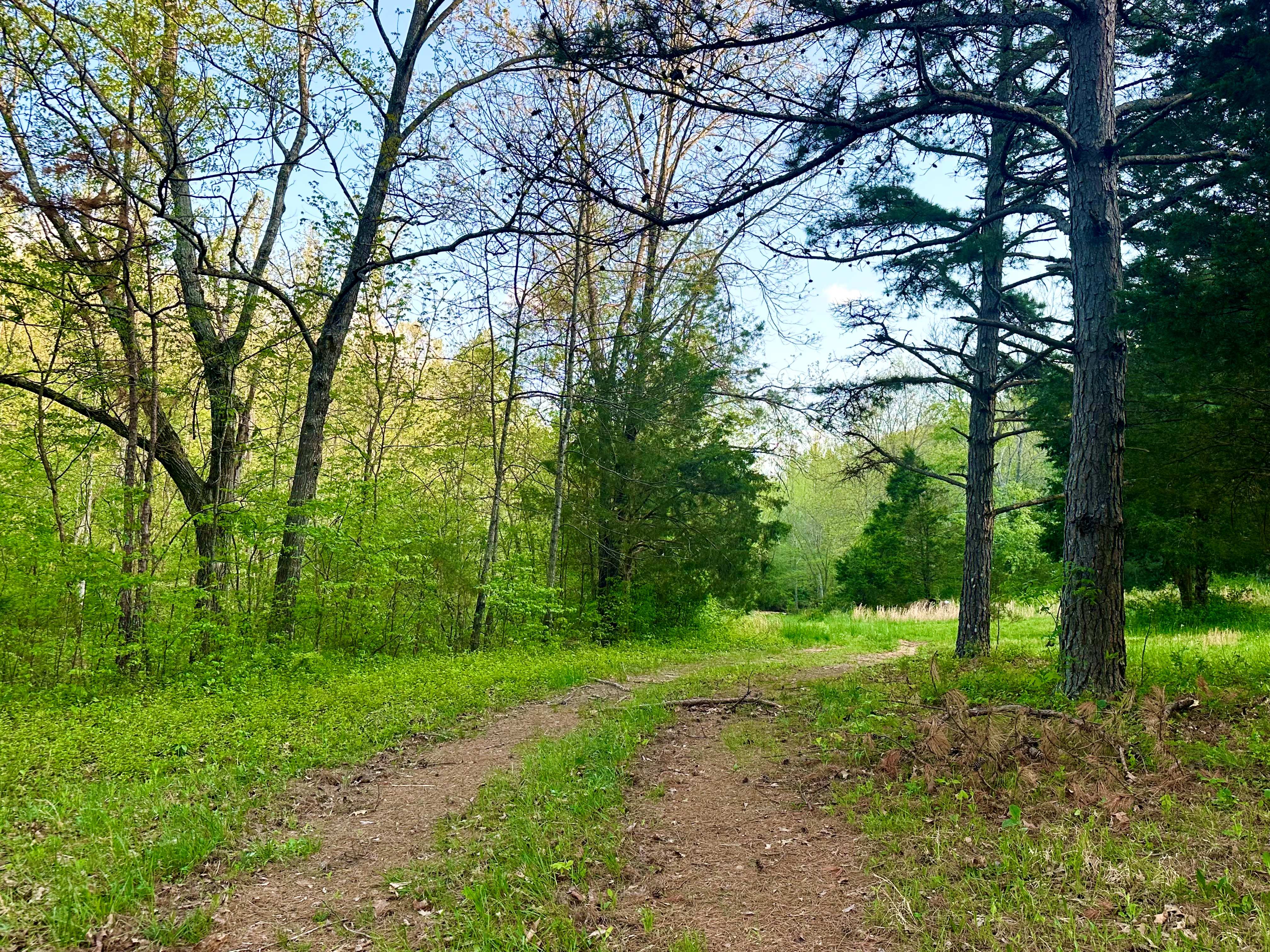 Wash Creek Retreat