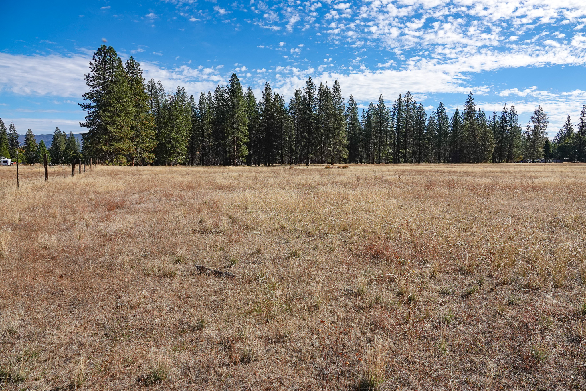 Mountain View Meadow