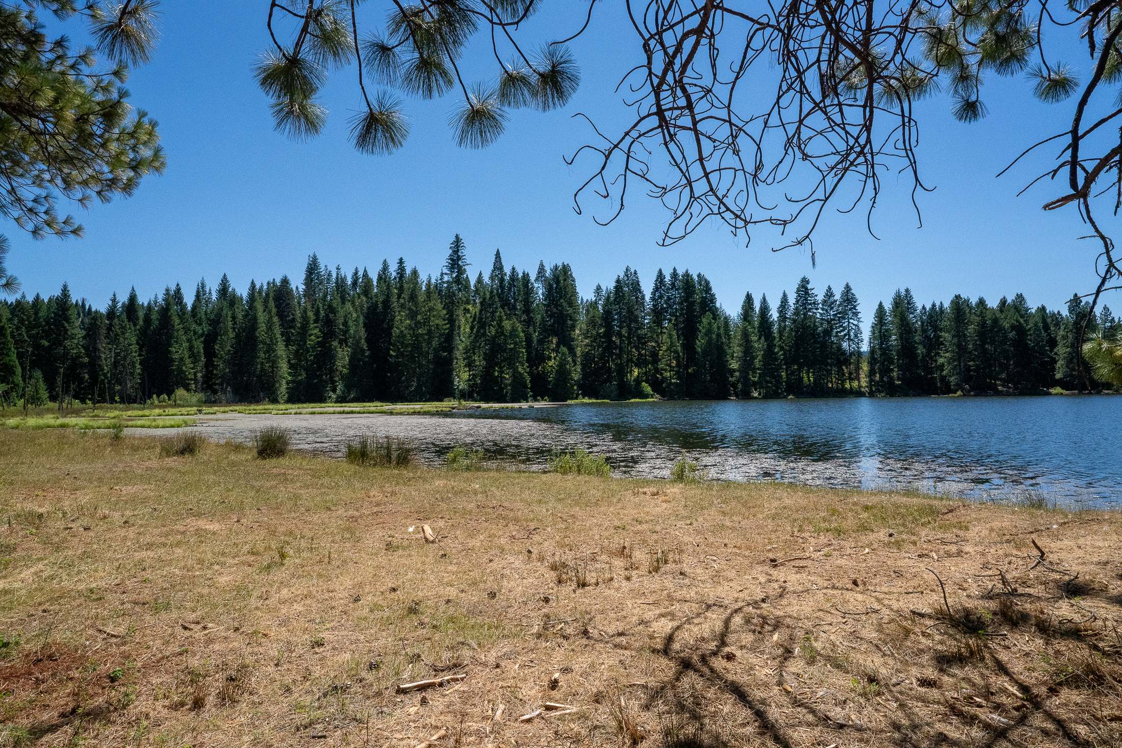 Medco Pond- Recreational Retreat