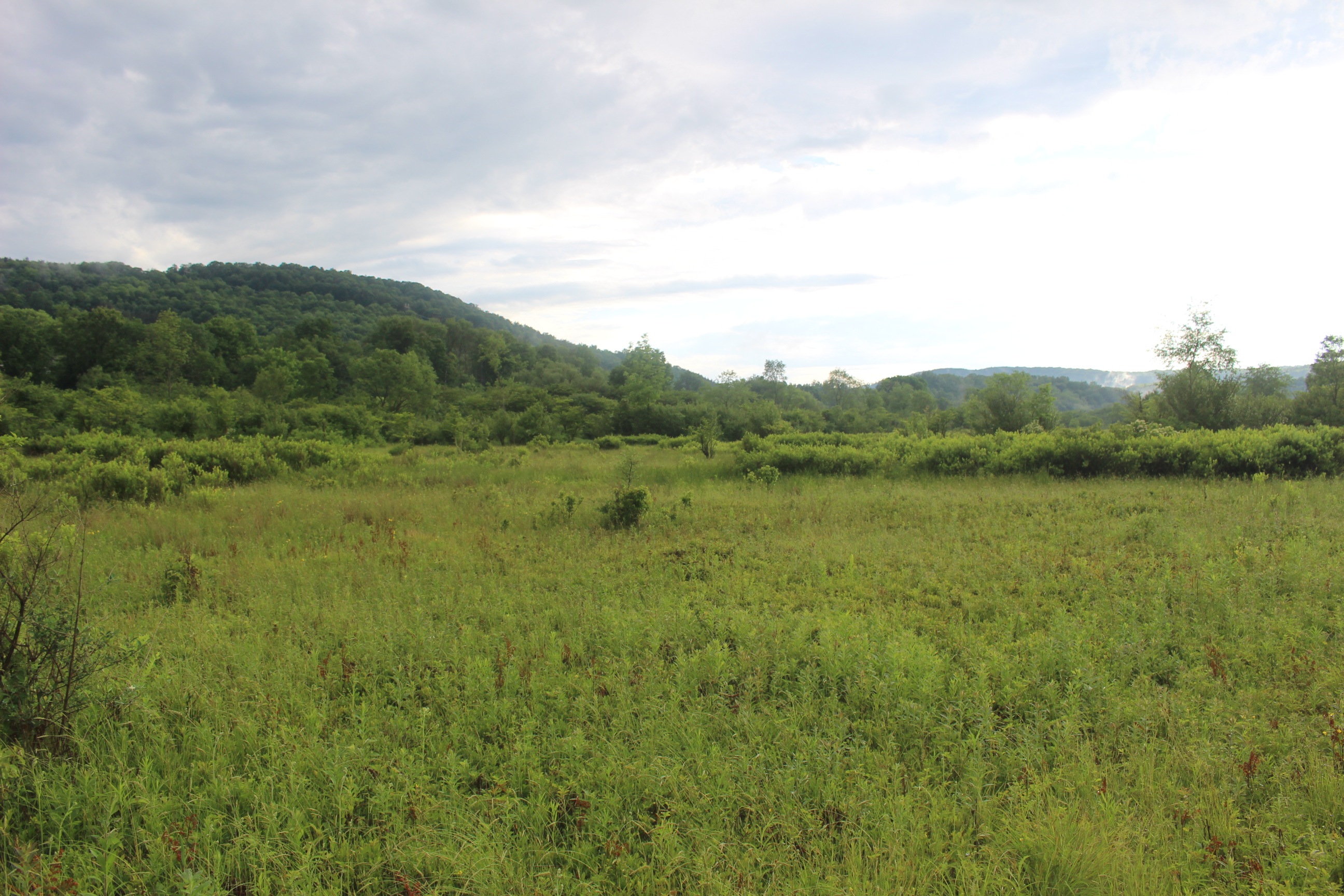 Dodge Creek