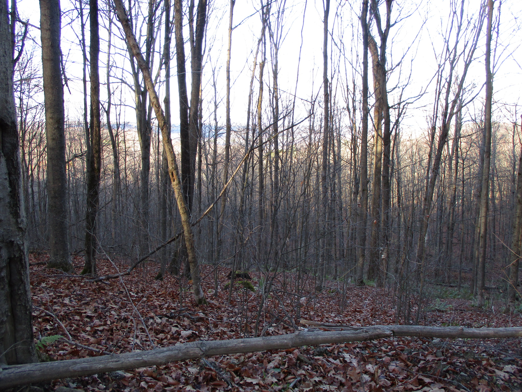 Peaceful Valley