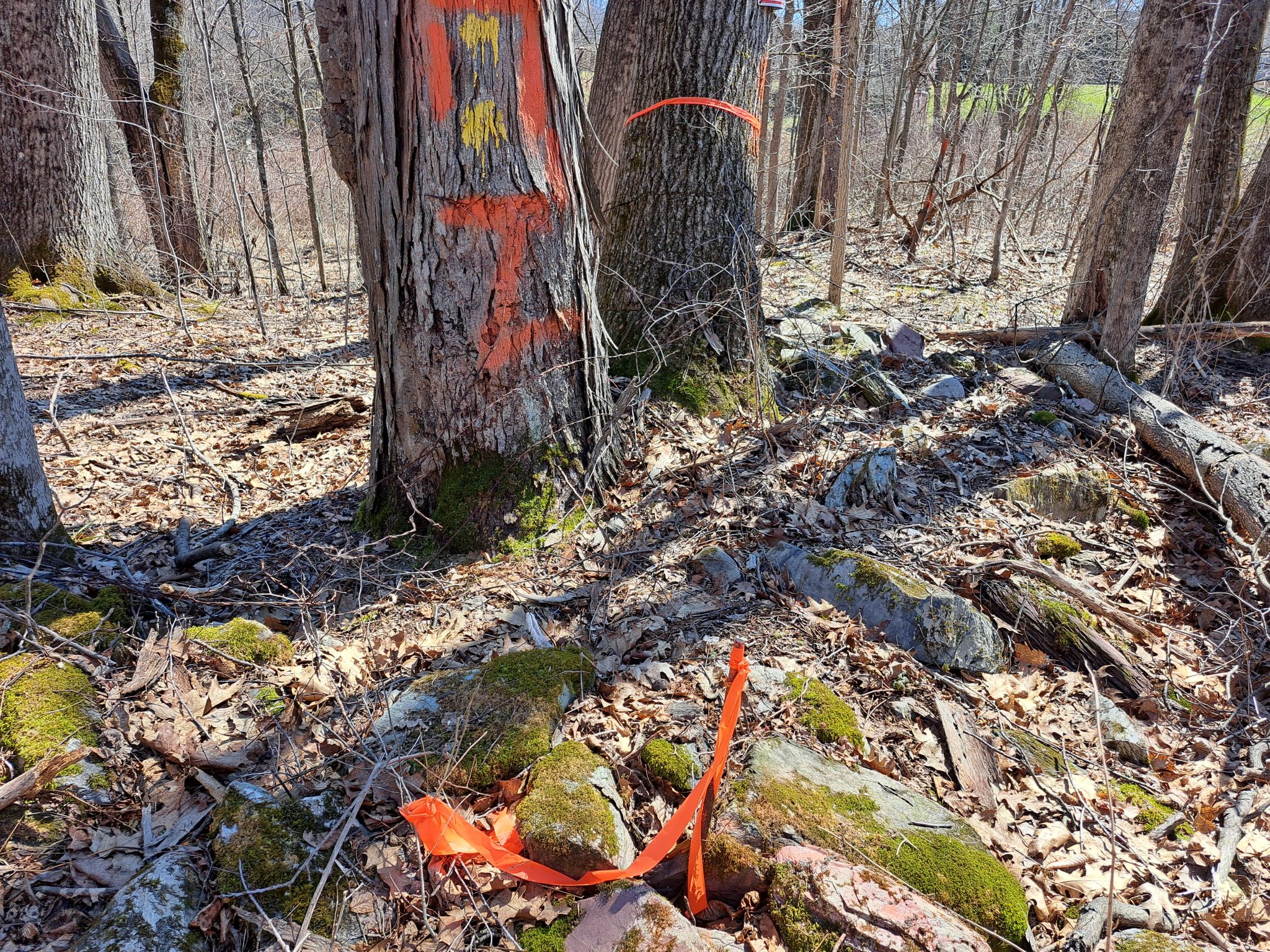 Listing Image 65