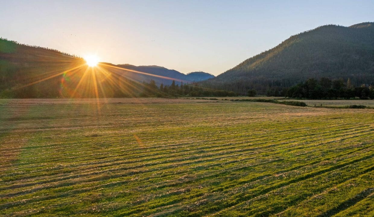 Sauer's Flat Farm & Ranch