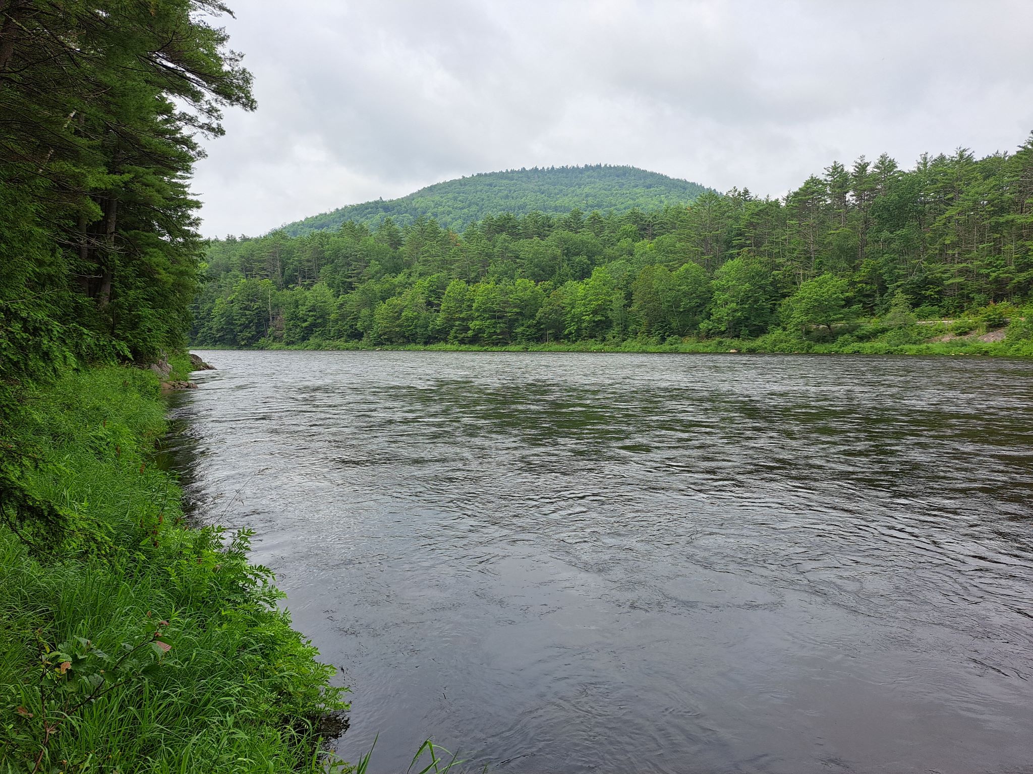 Hudson River Woods & Water
