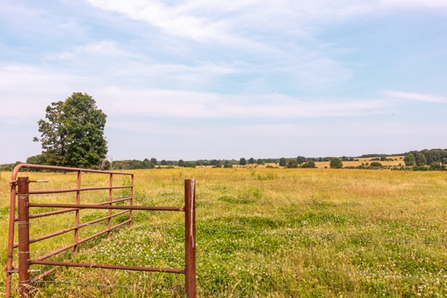 7 Pasture Farm