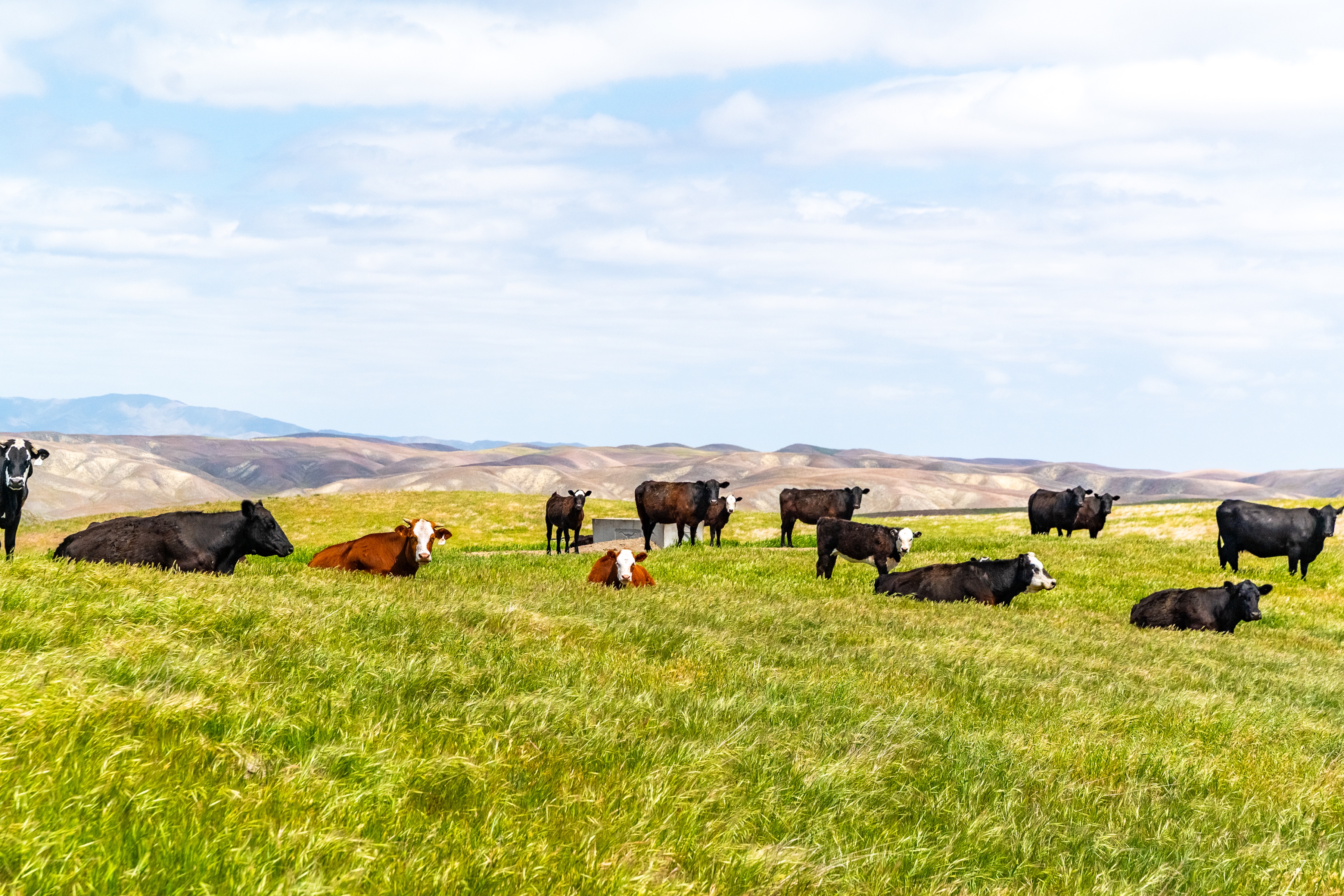 Pritchard Sumner Ranch