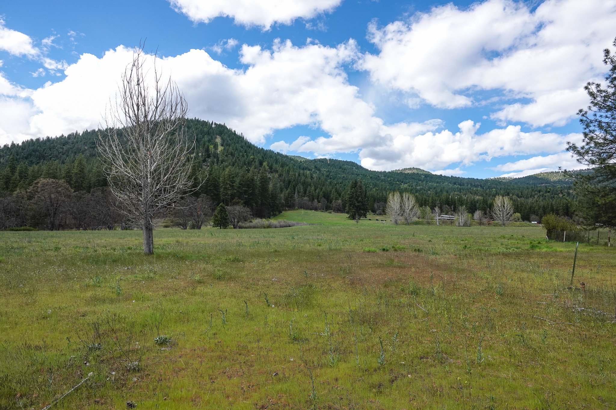 Triple D Ranch