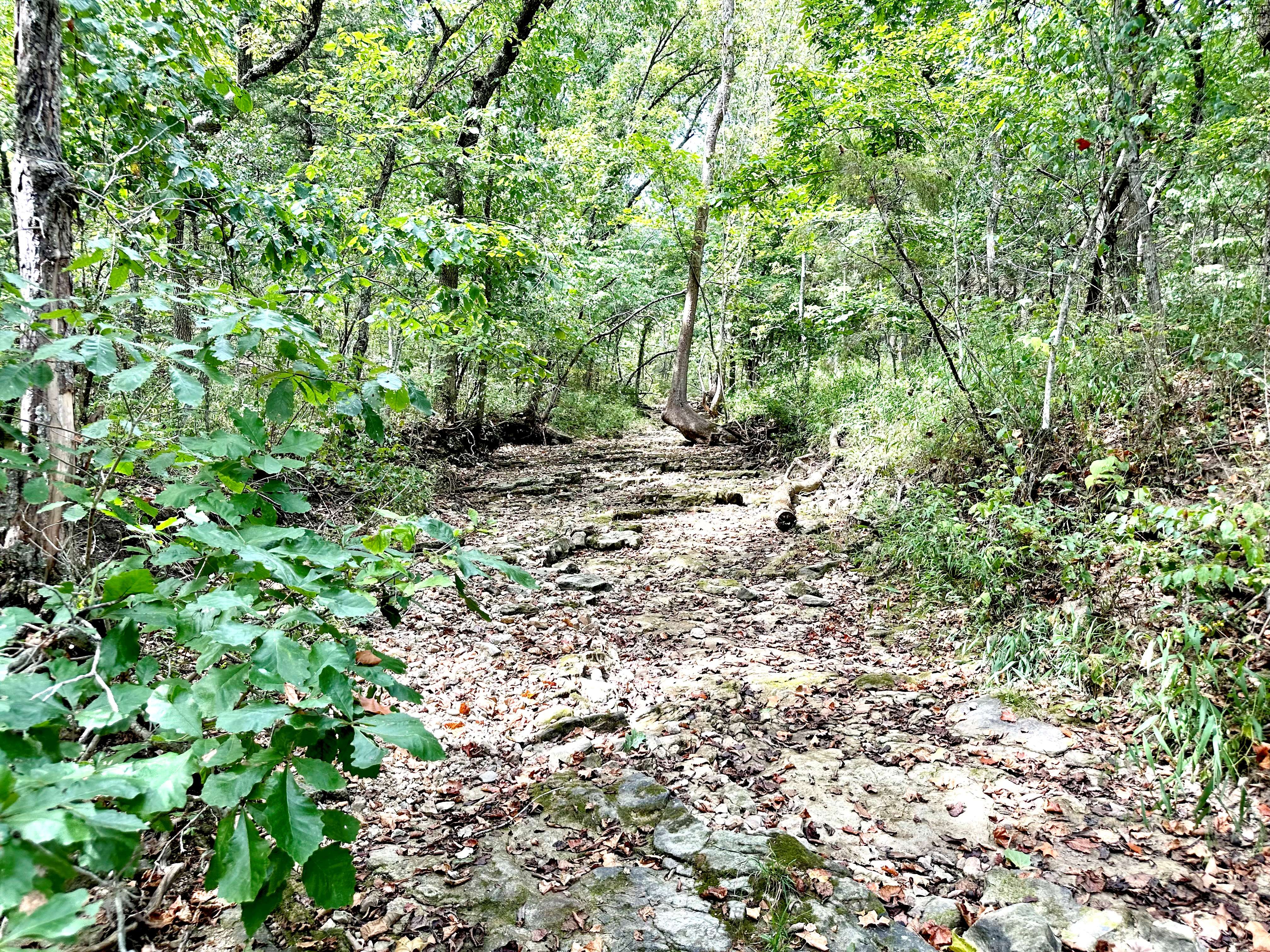 Hickory Hill Hollow