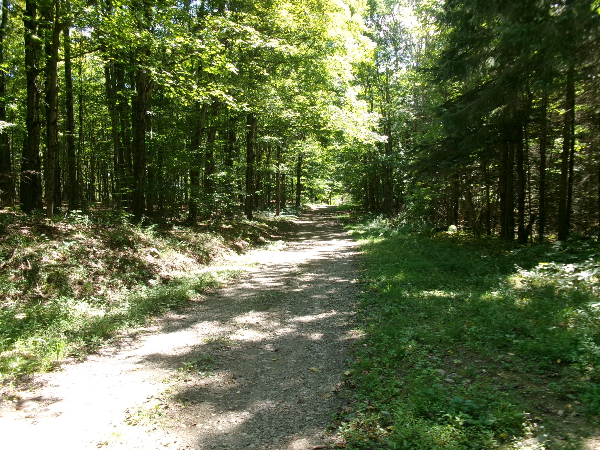 Listing Image 61