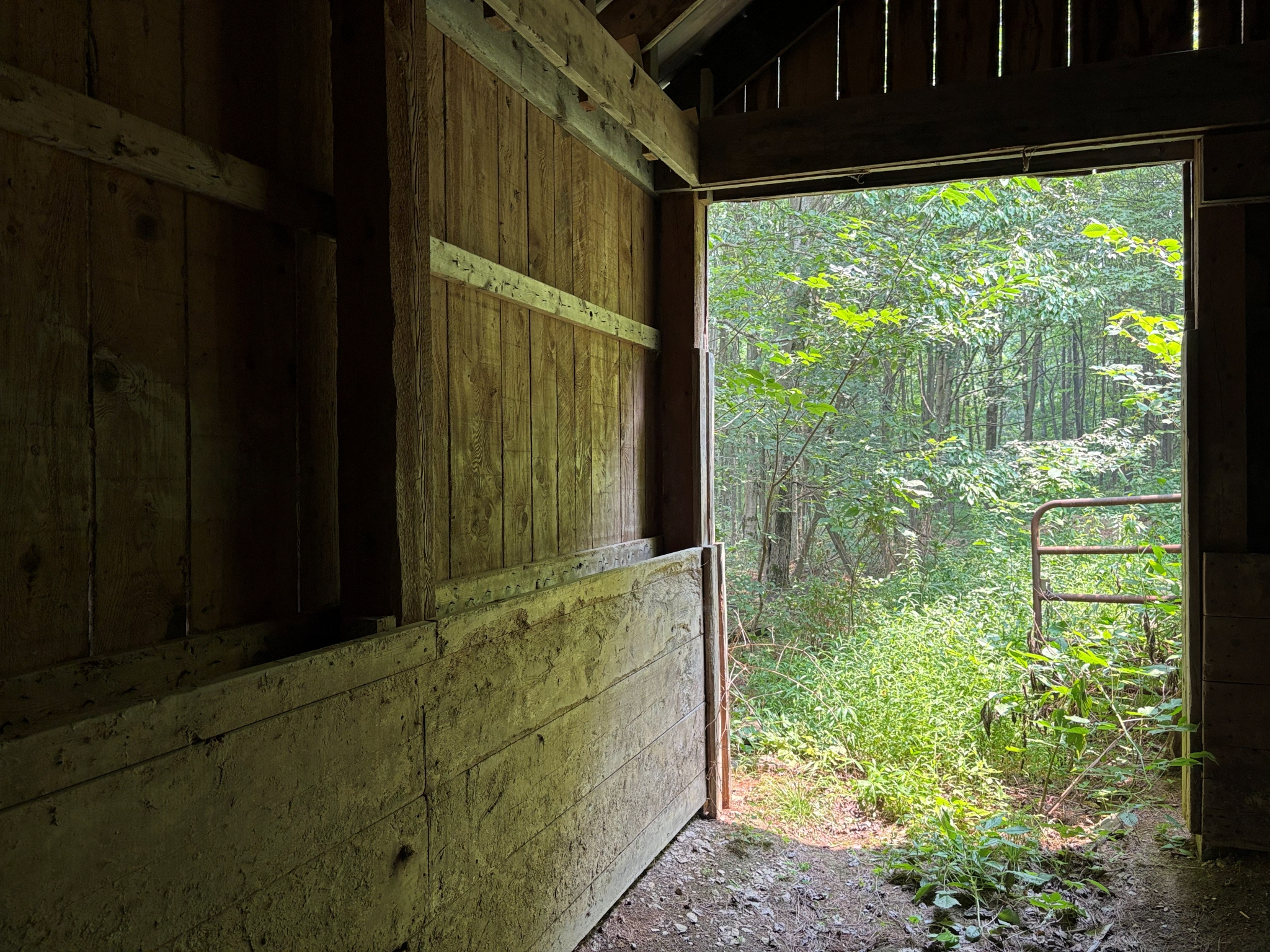 Listing Image 56