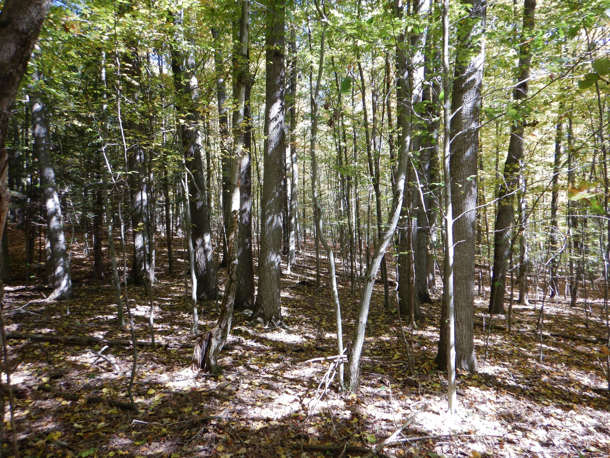 Listing Image 25