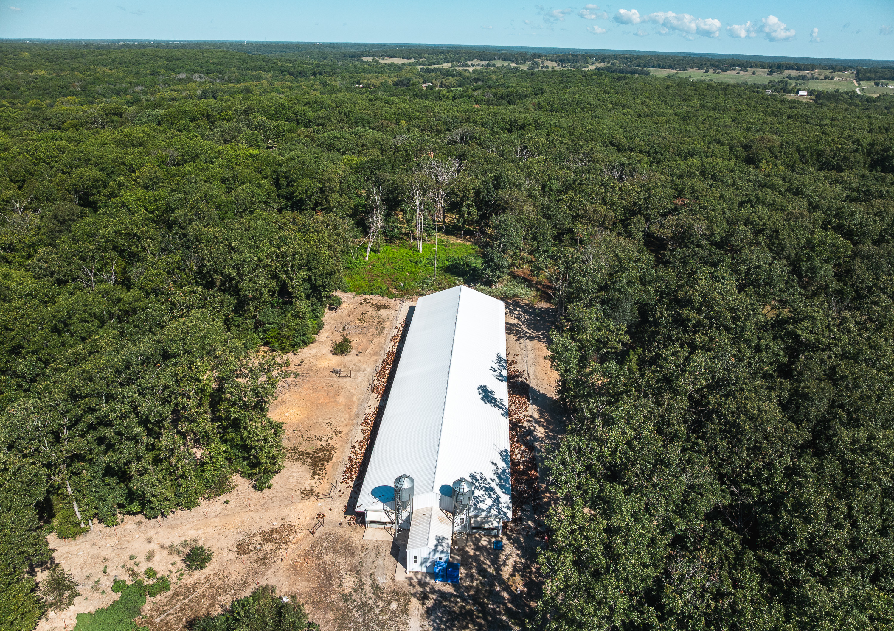 Cage Free Chicken Farm