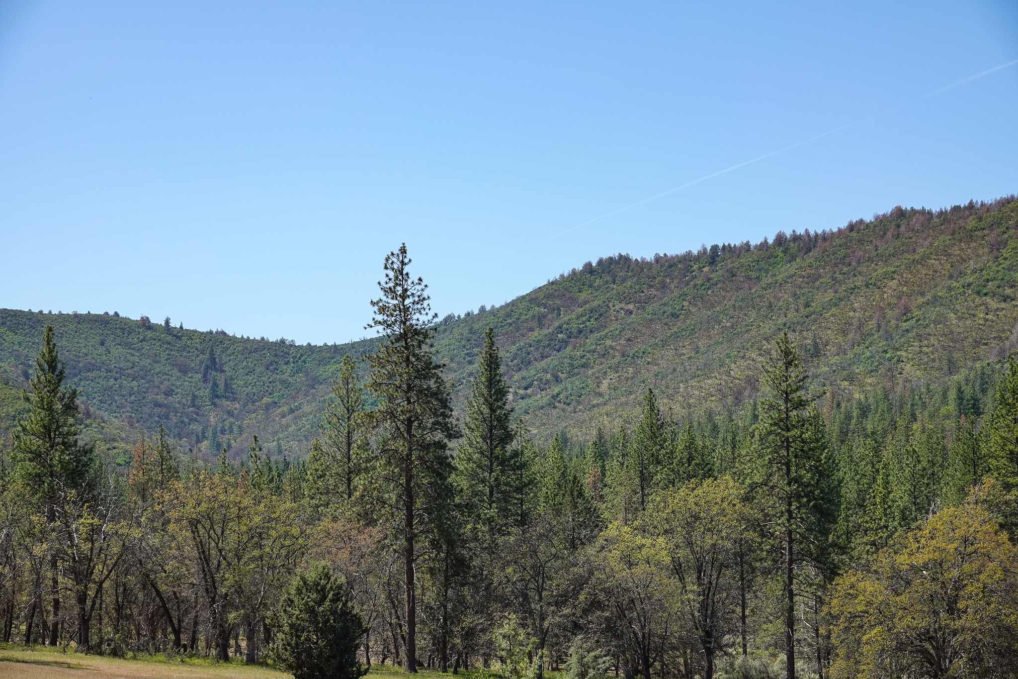 East Road Ragland Gulch Acreage