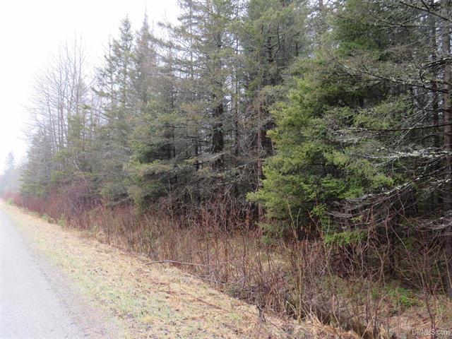 80 Acre Woodland Retreat 50173805