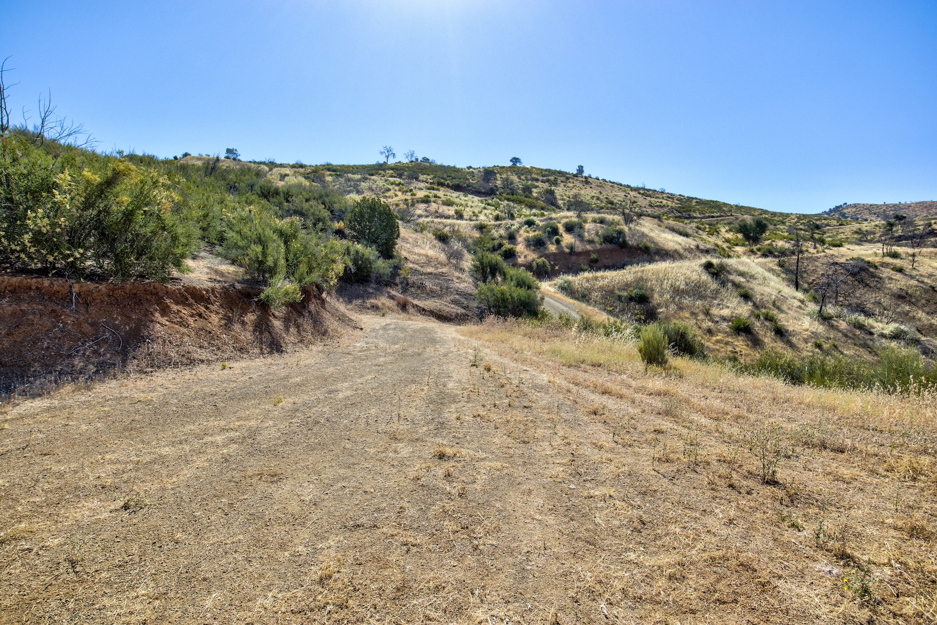 Old Iron Gate Ranch