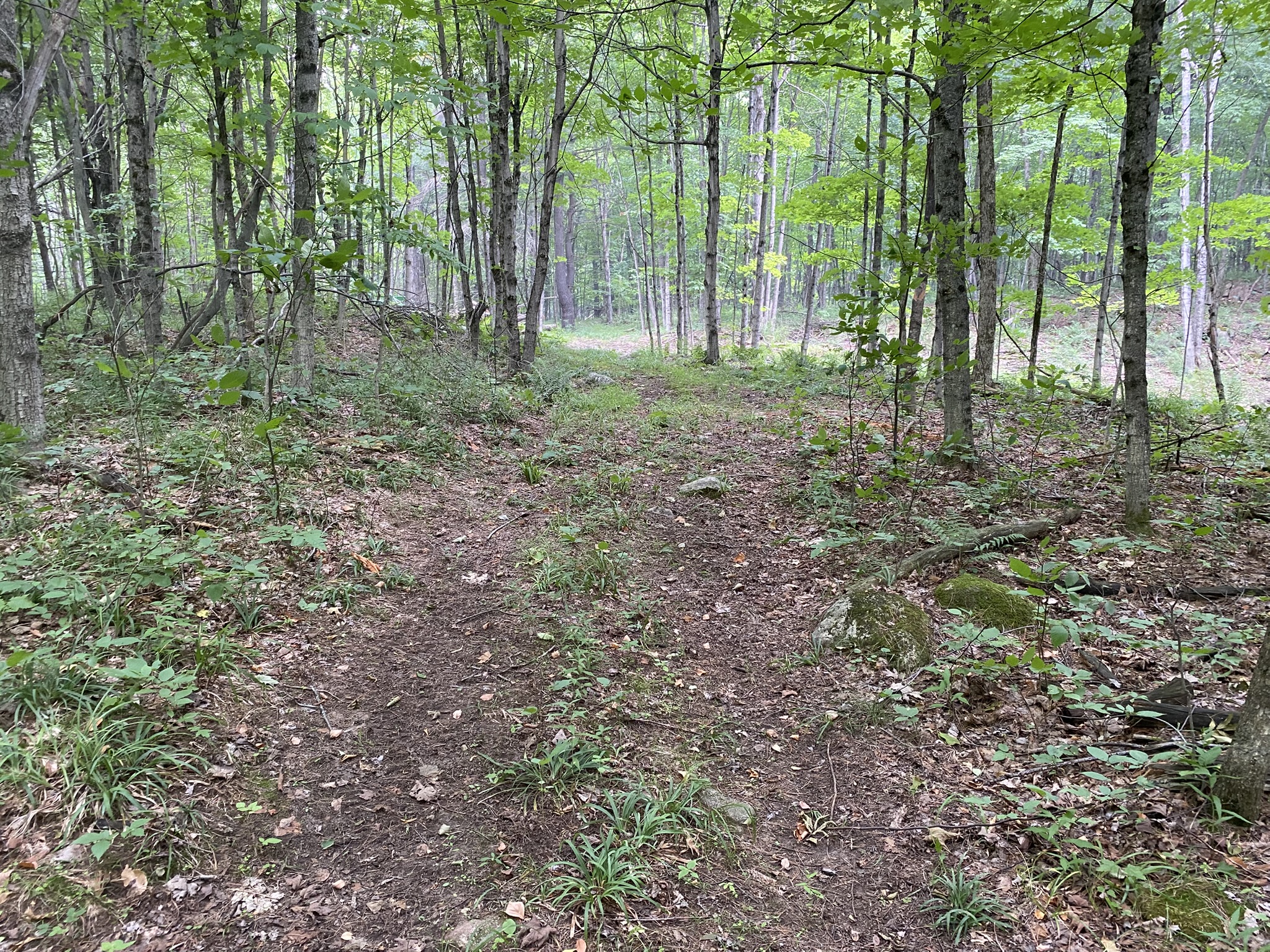 Listing Image 93