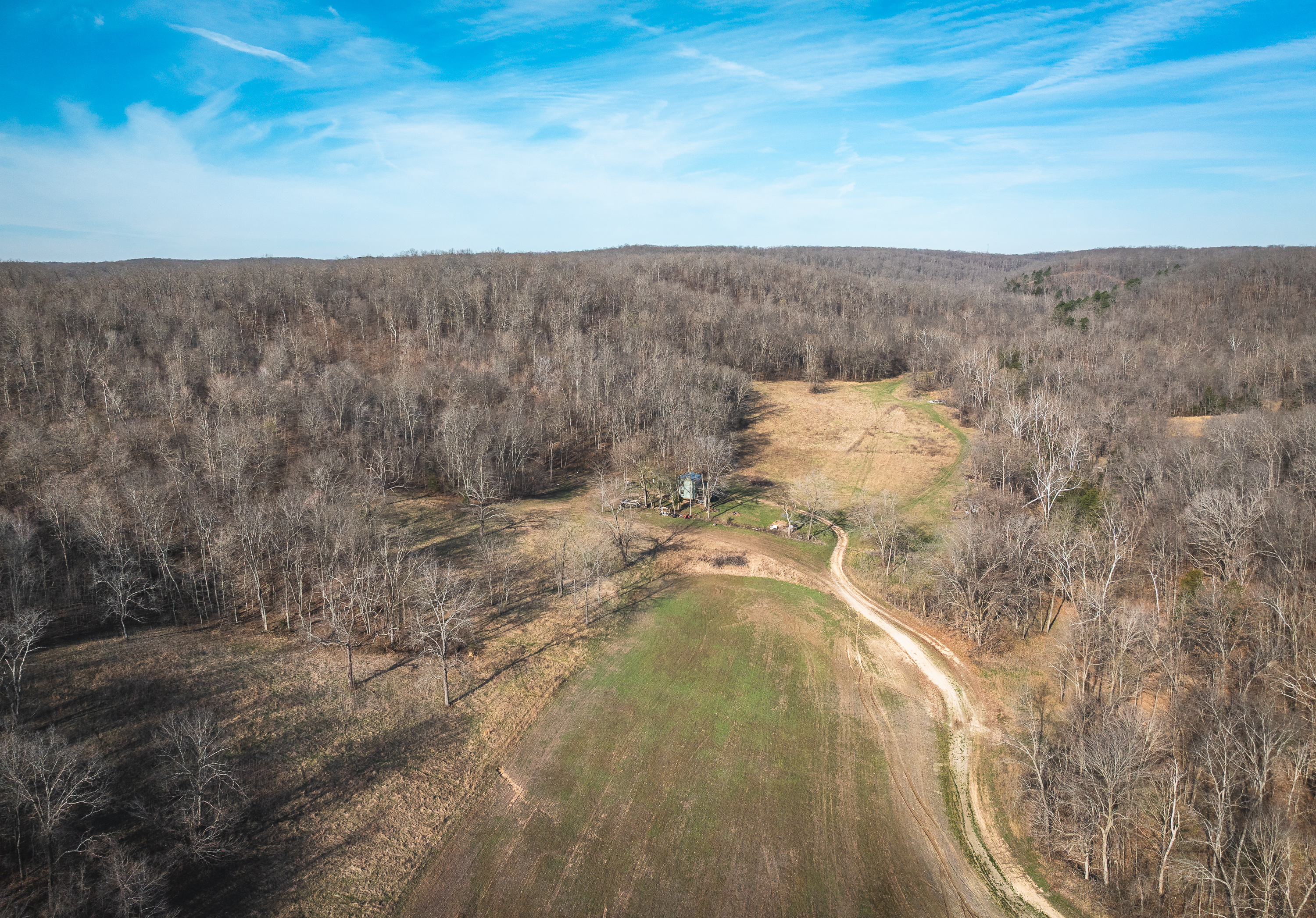 Listing Image 64