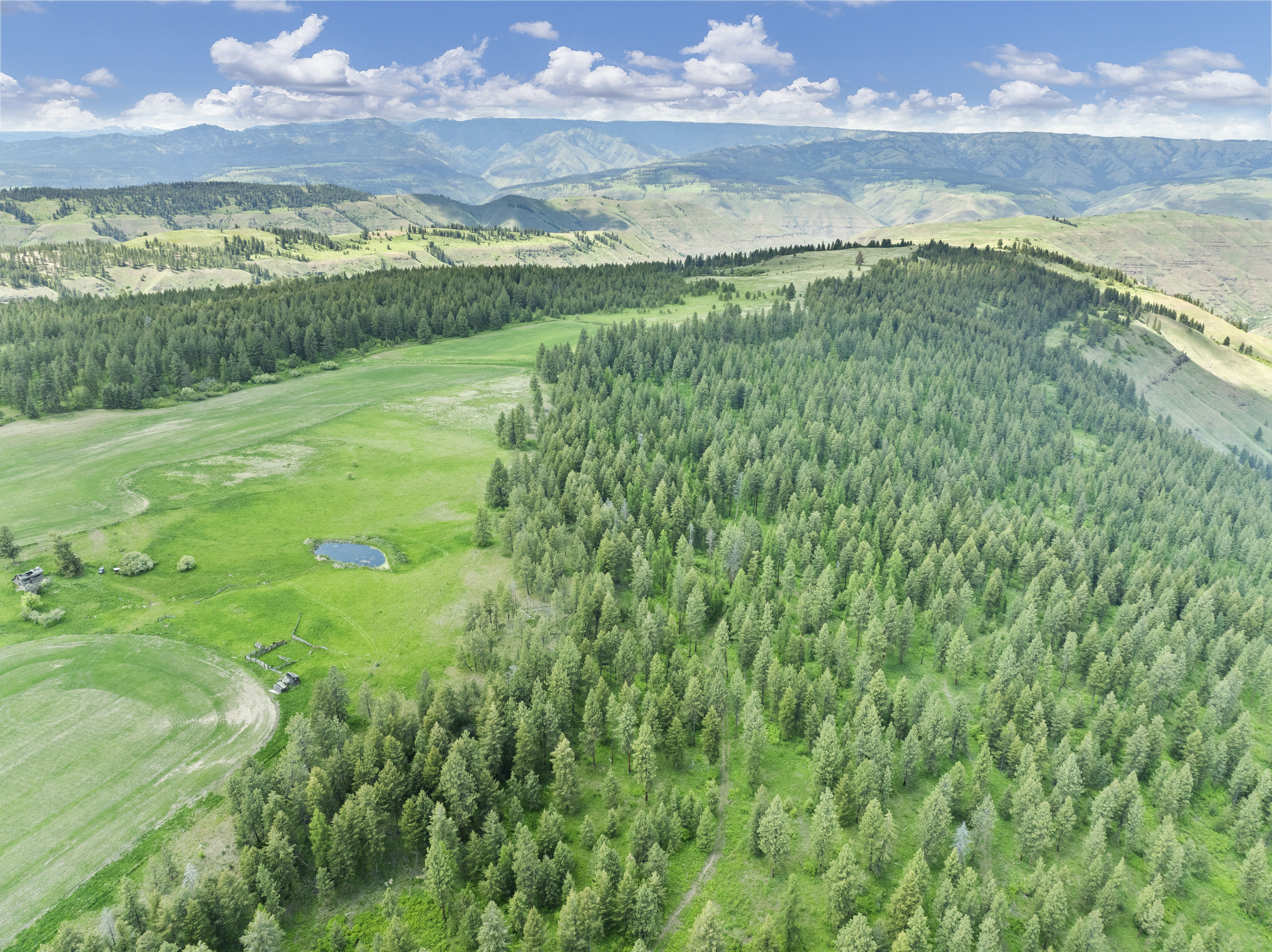 Buford Ridge Ranch