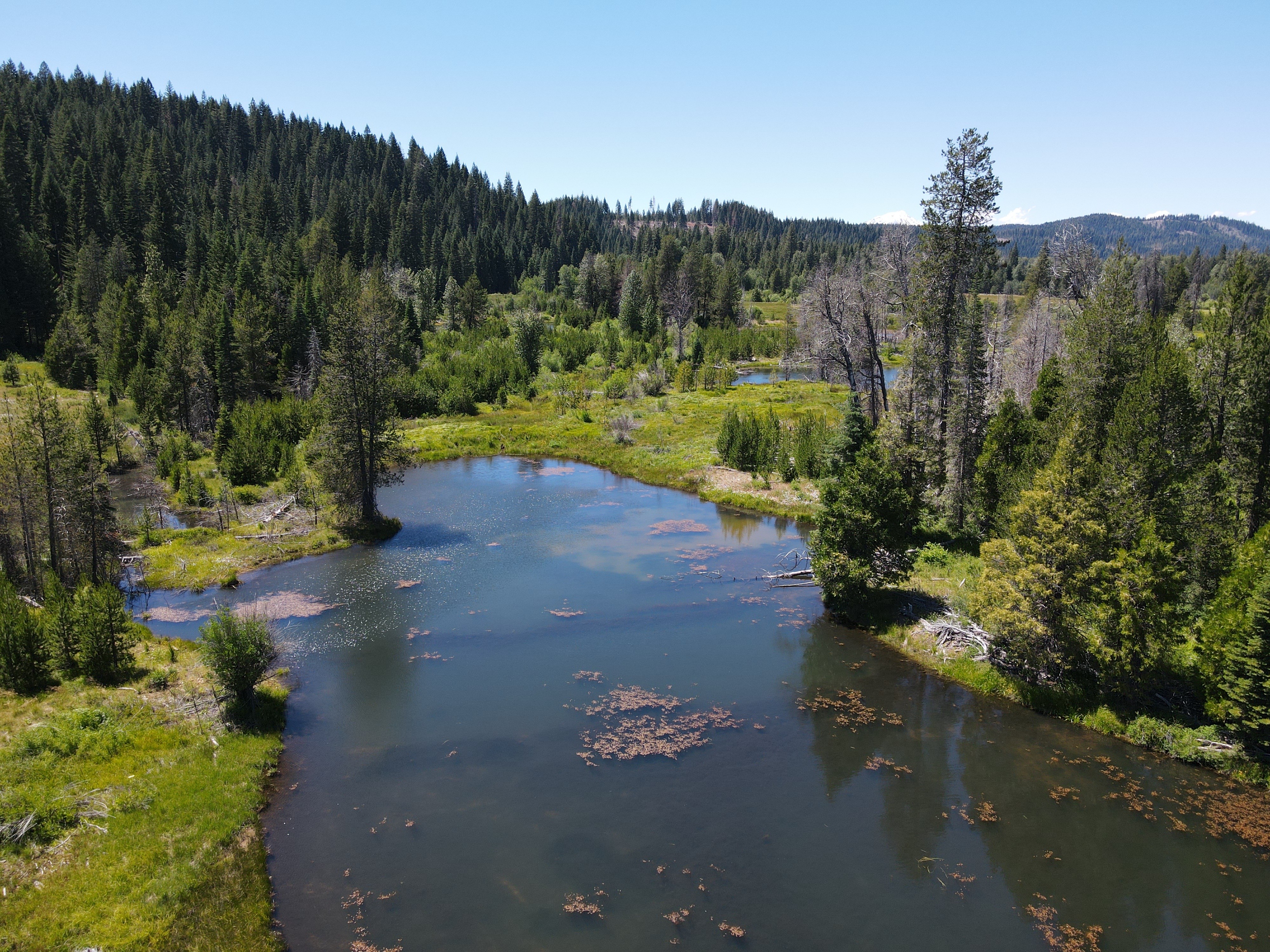 Listing Image 17