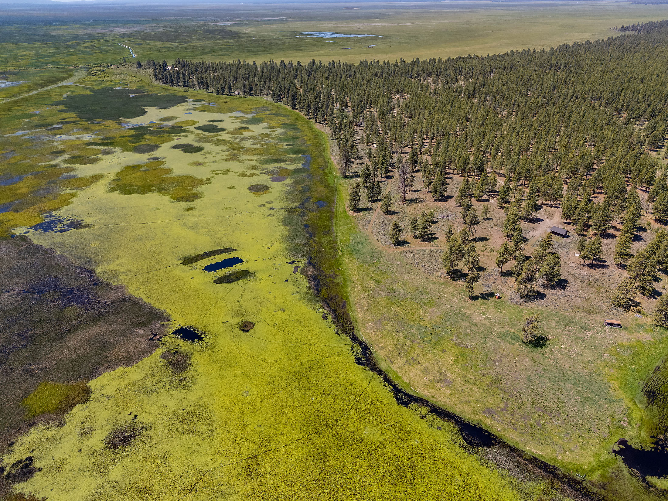 Klamath Marsh Retreat