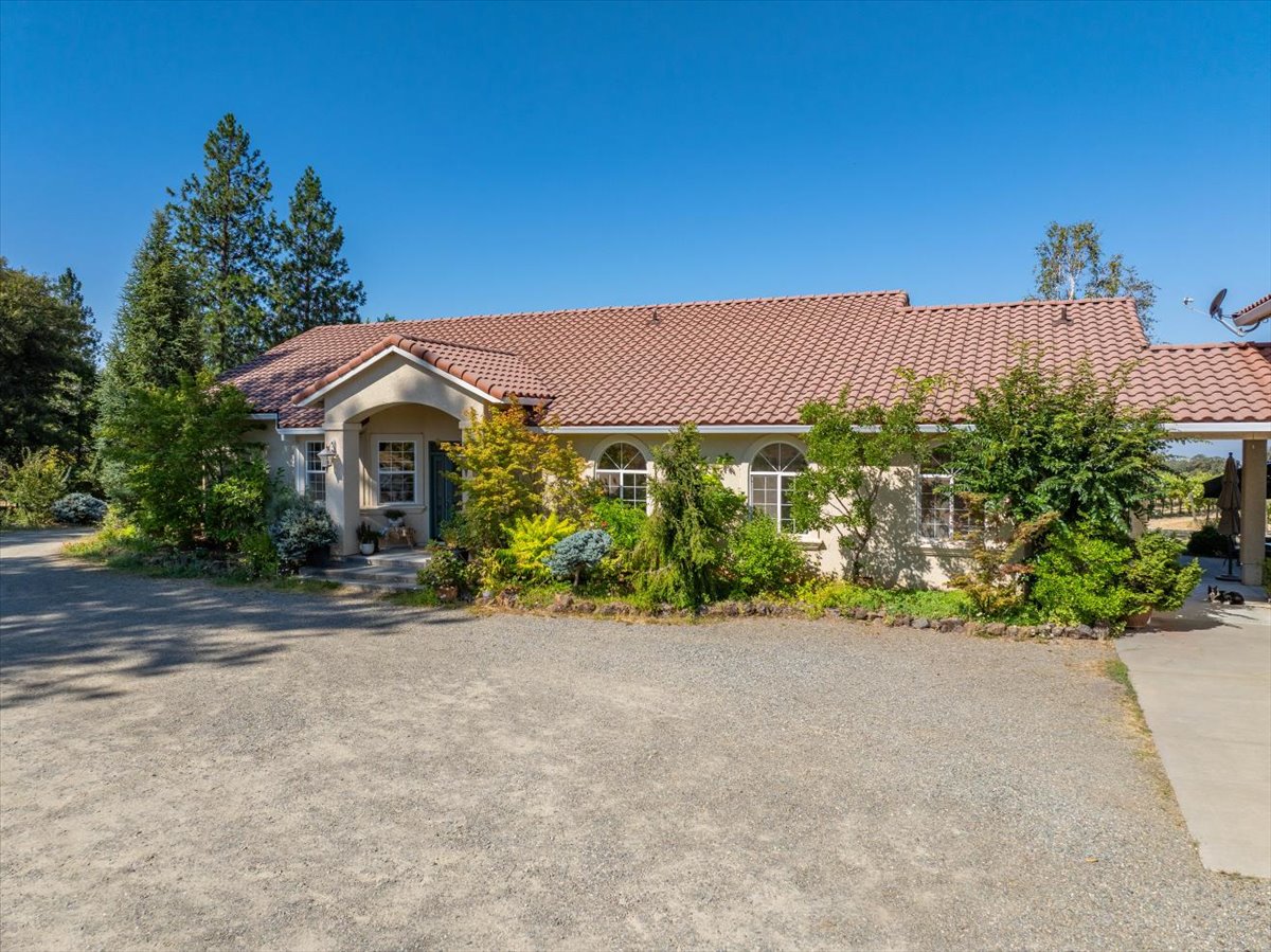 Alger Vineyards and More