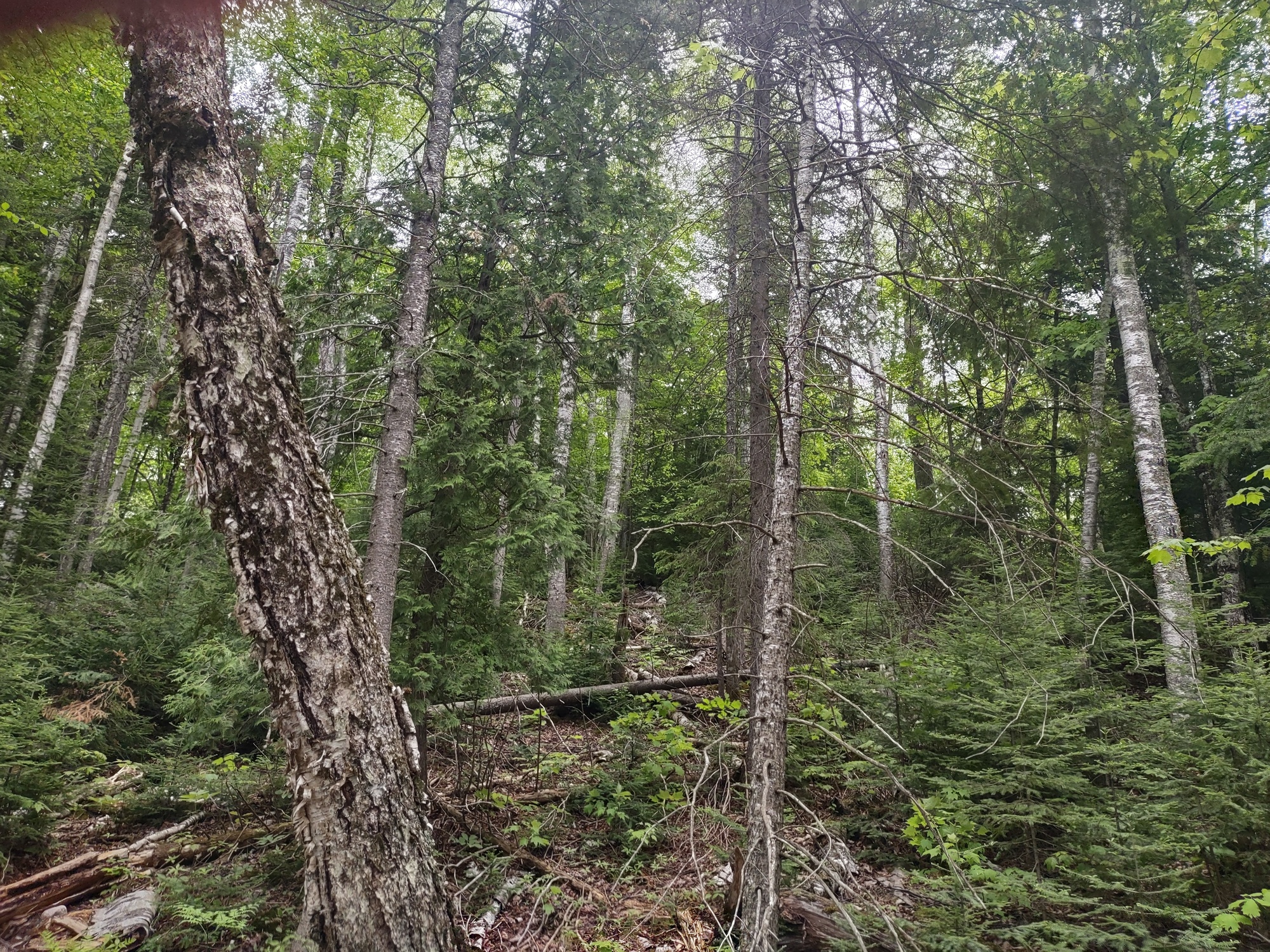 Michigan Private Lake Lot  50178194
