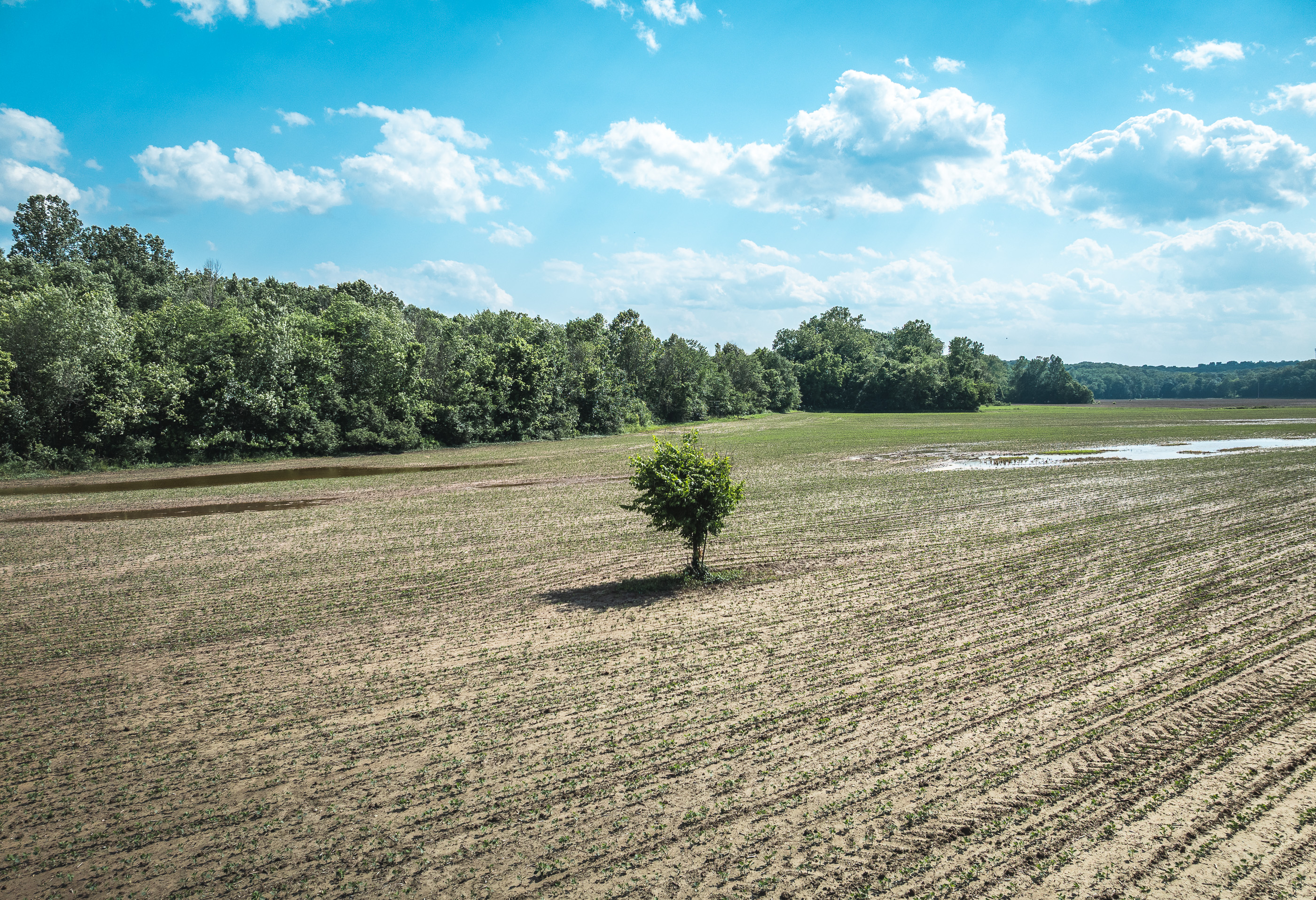 Union Runway Tract D