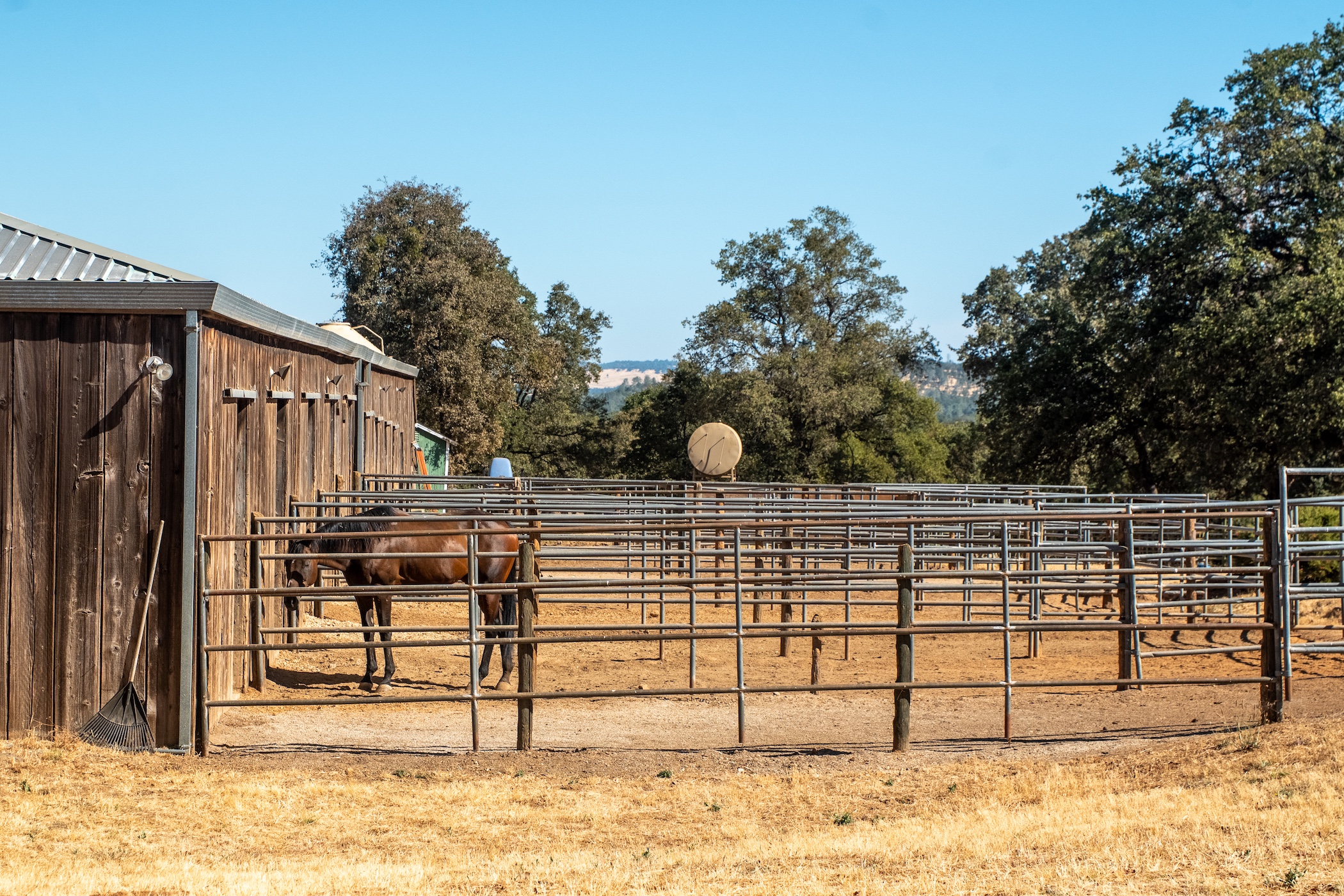 Blue Fountain Farm