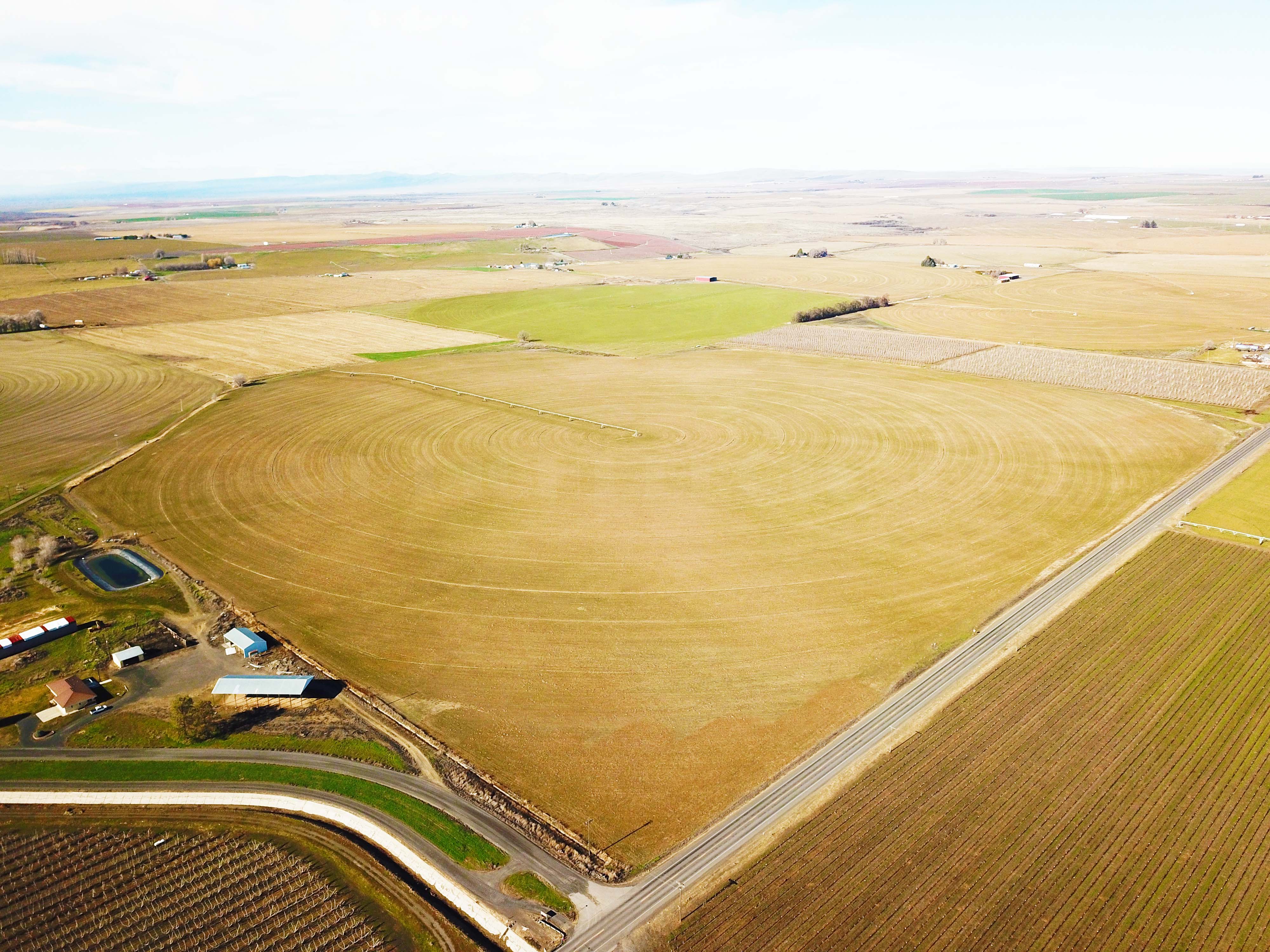 Fern Road Irrigated farm