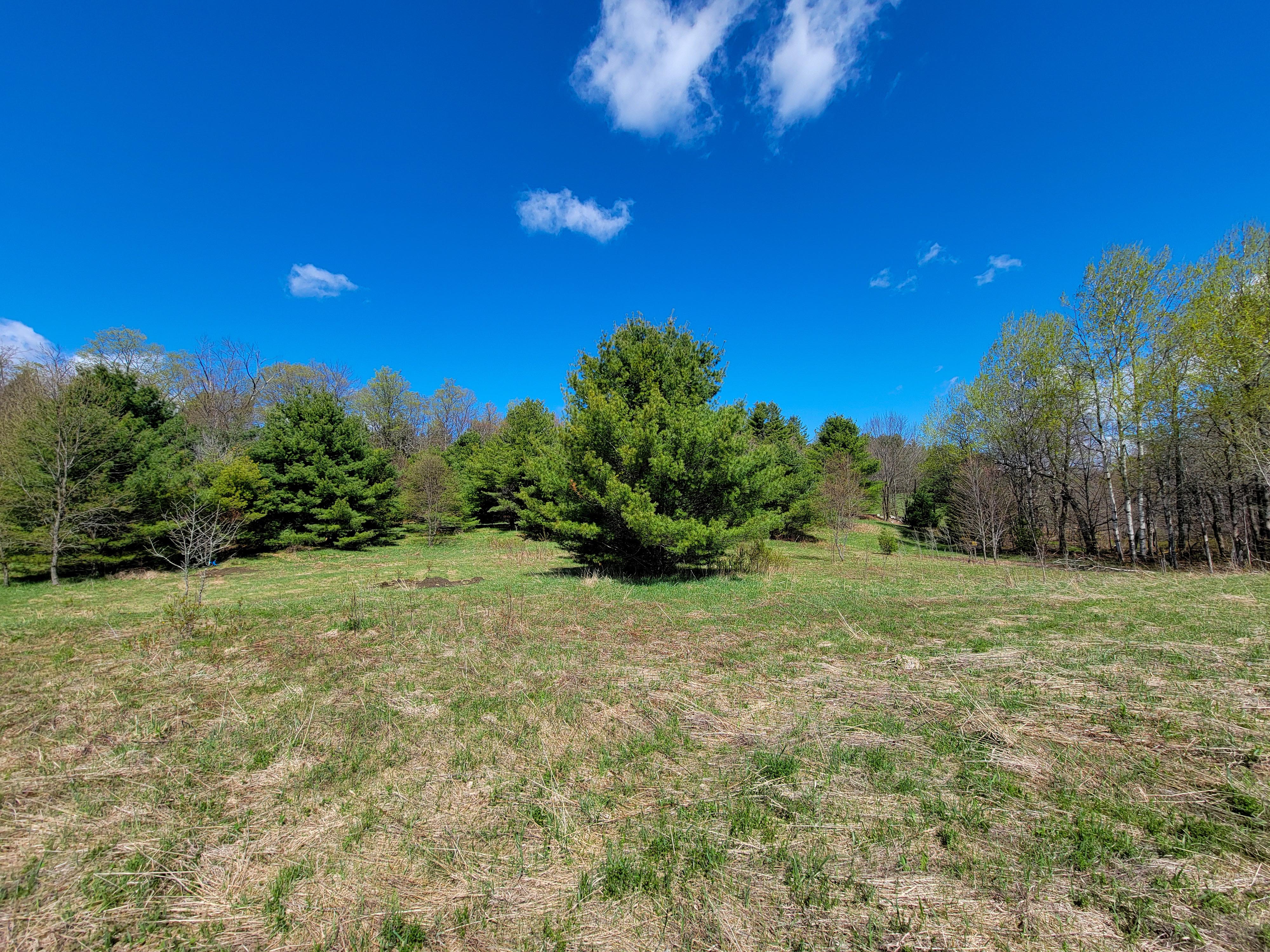 Listing Image 26