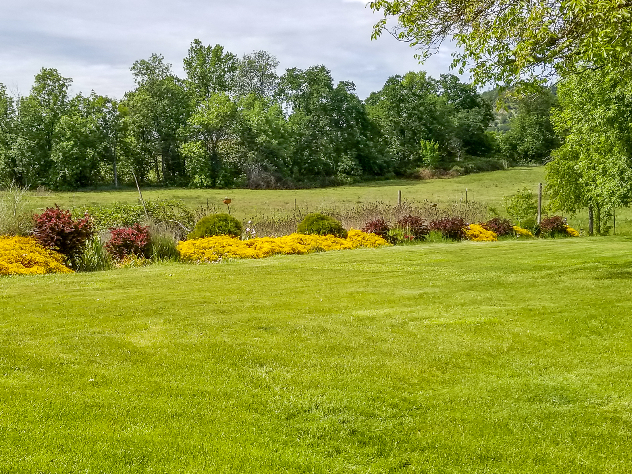 Listing Image 75