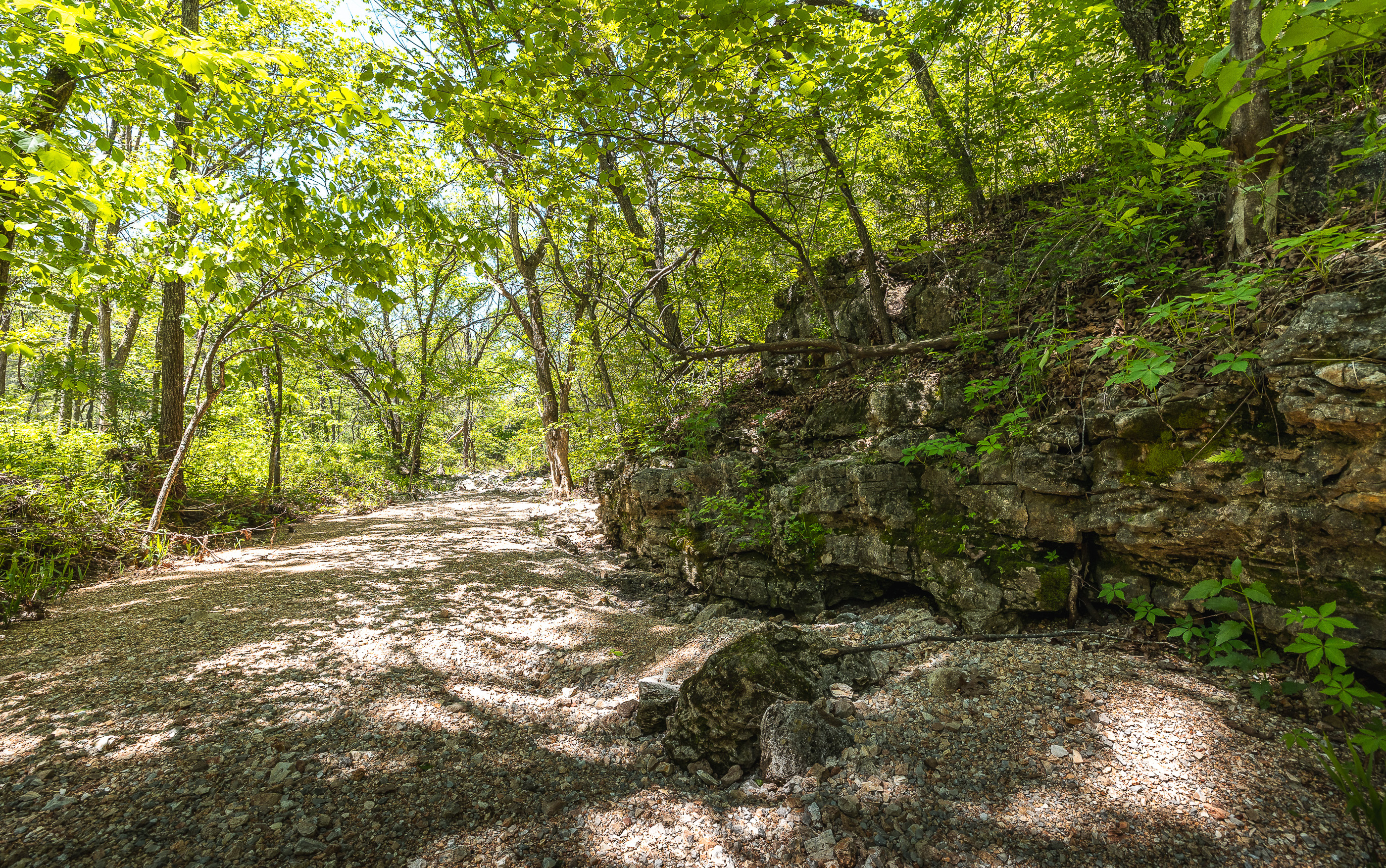 Listing Image 27