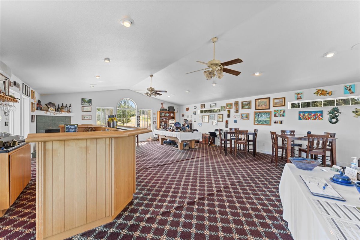 Alger Vineyards and More