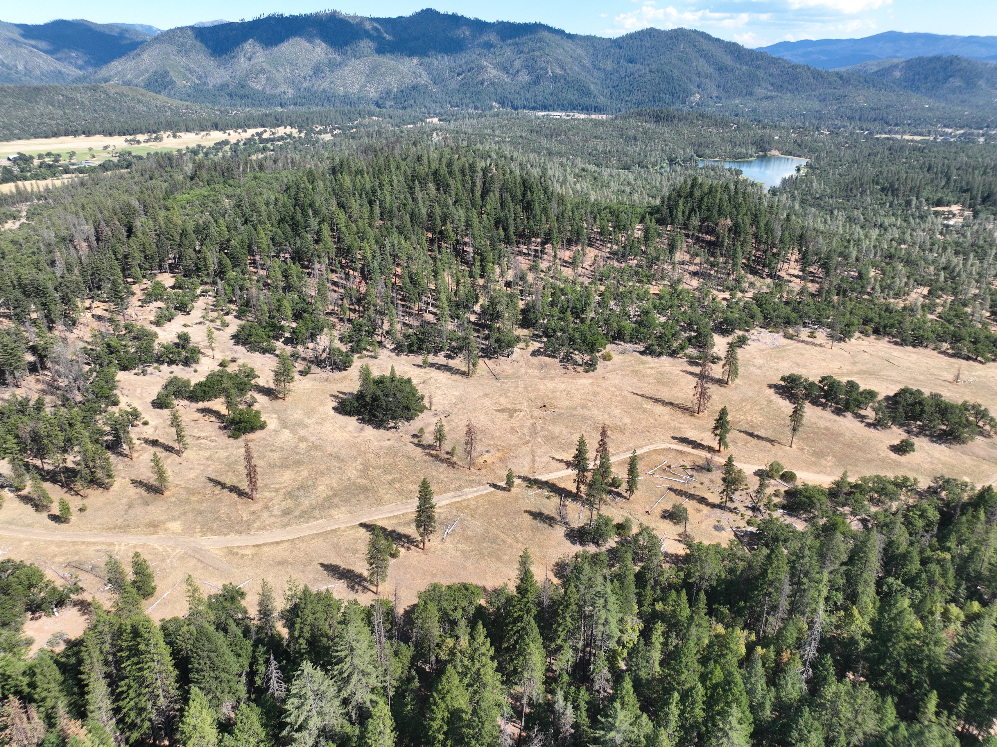240 Acres Hayfork