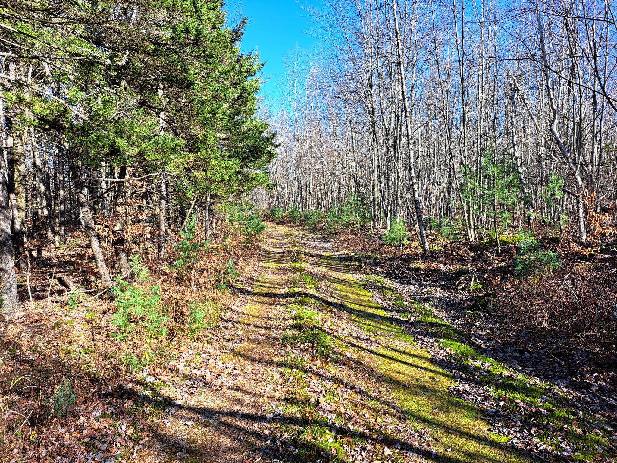 Listing Image 68