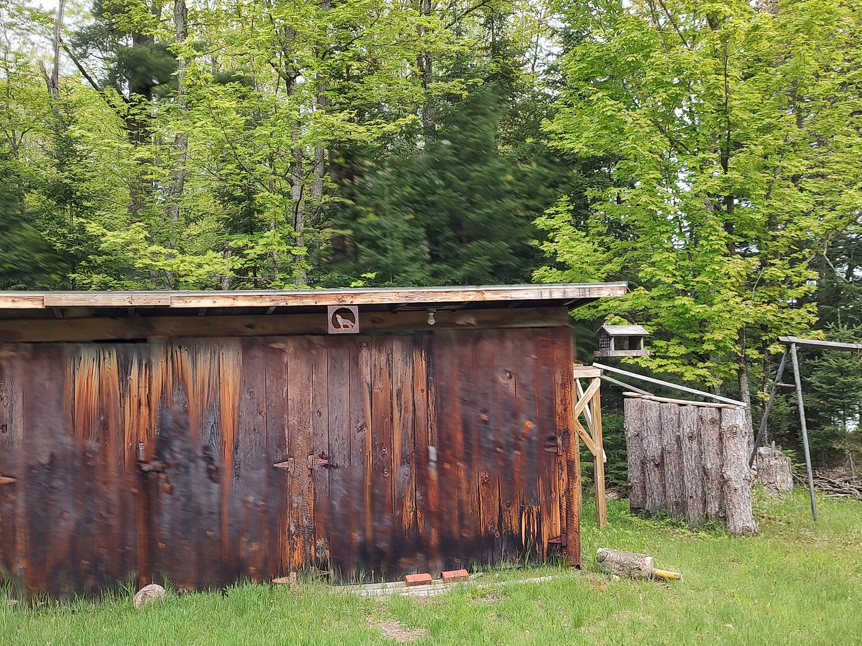 U.P. Robinson Lake Parcel 50167828