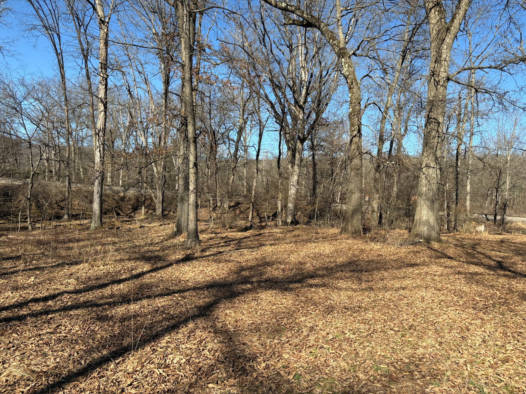 Listing Image 33