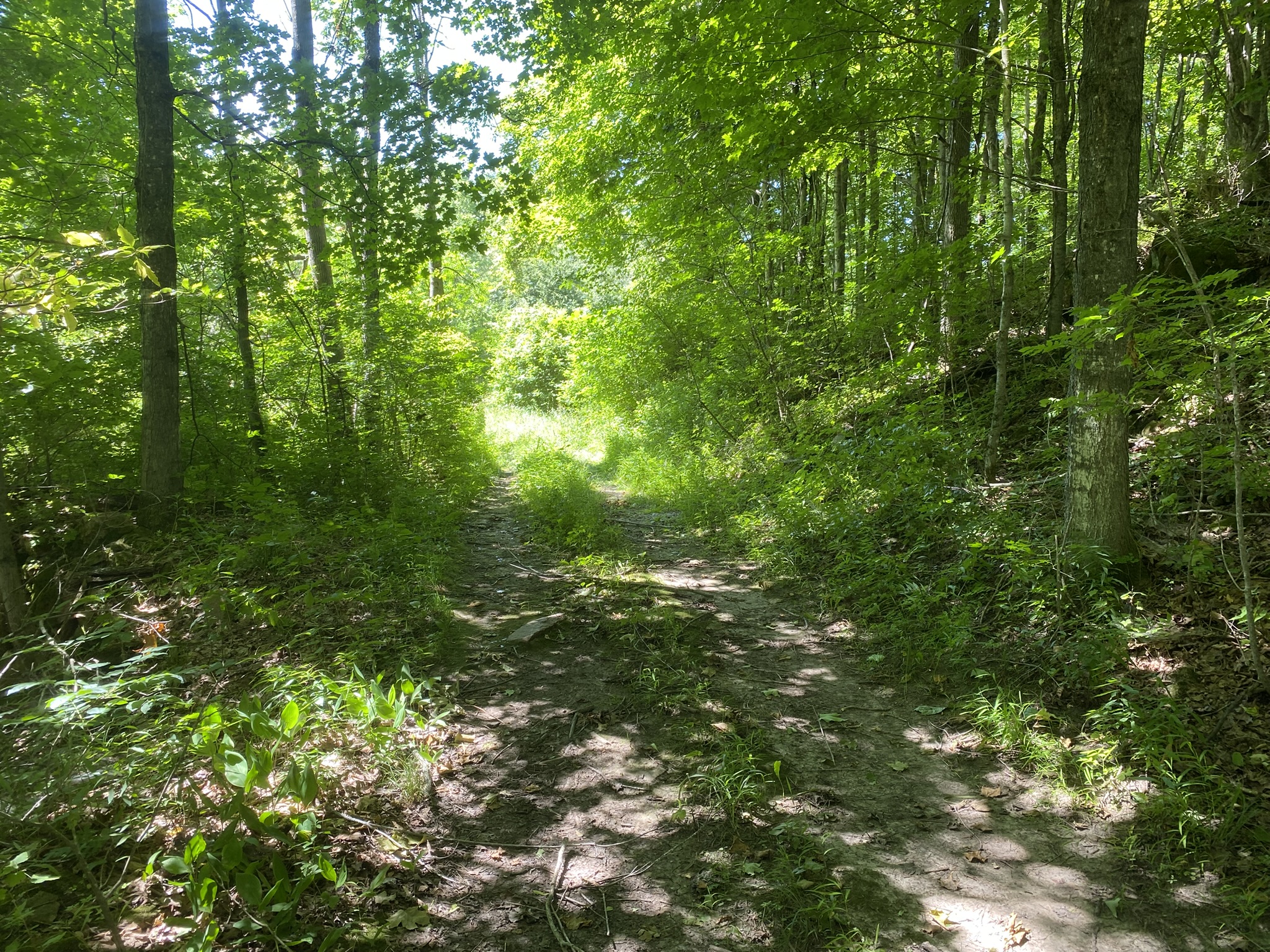 Listing Image 45