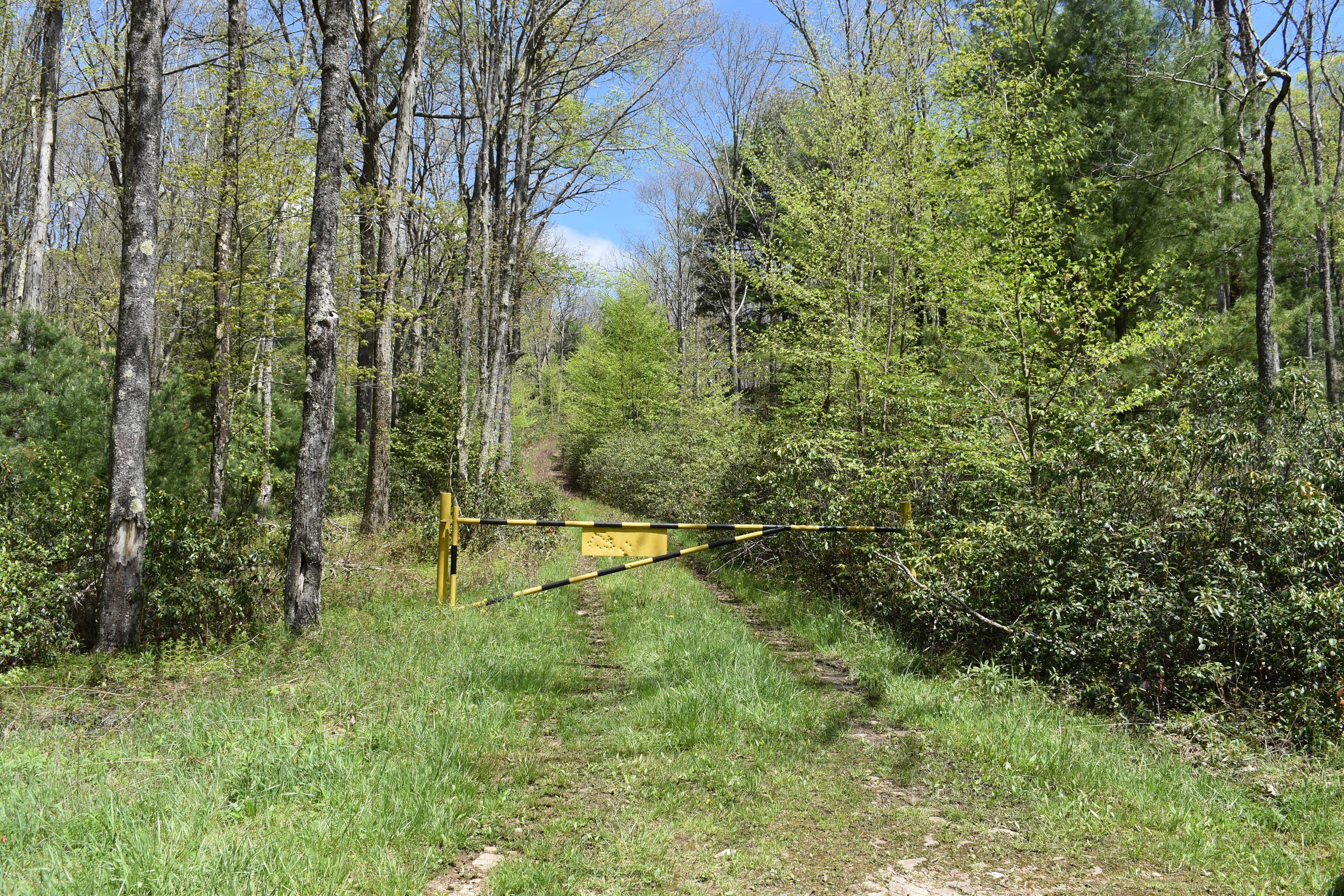 Grugan Hollow